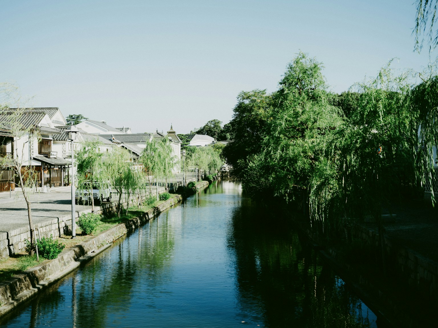穏やかな川と緑の木々がある風景
