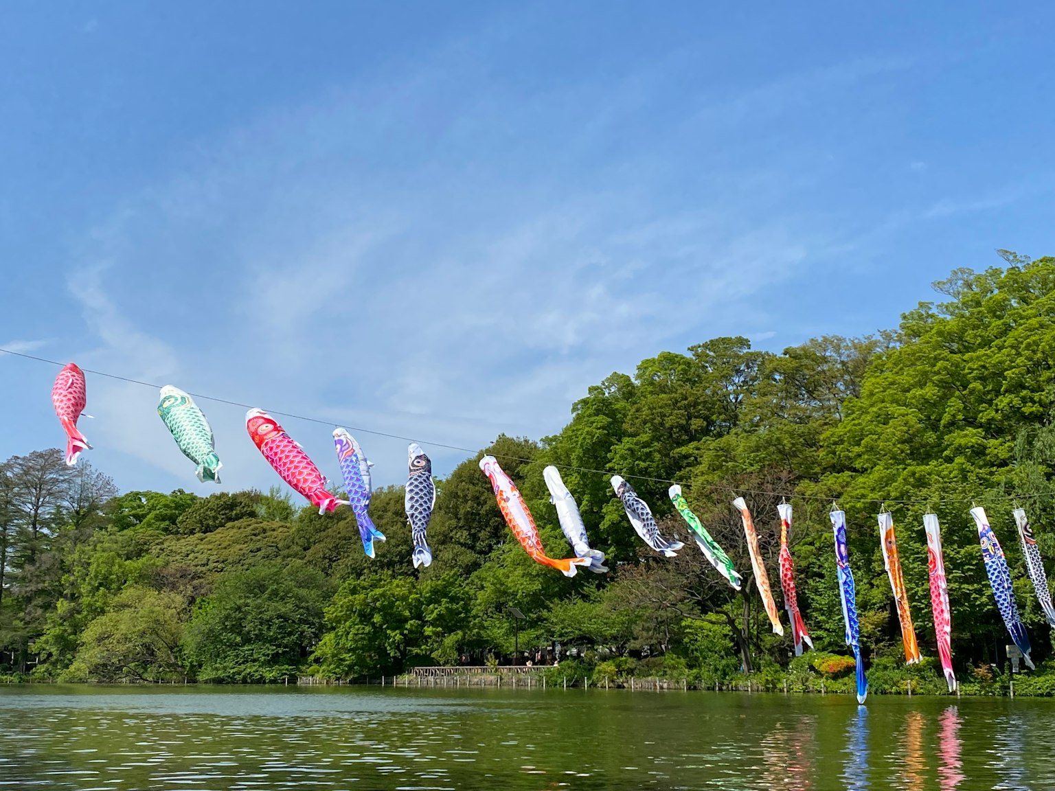 Drapeaux de koi colorés flottant au-dessus d'un étang sous un ciel bleu