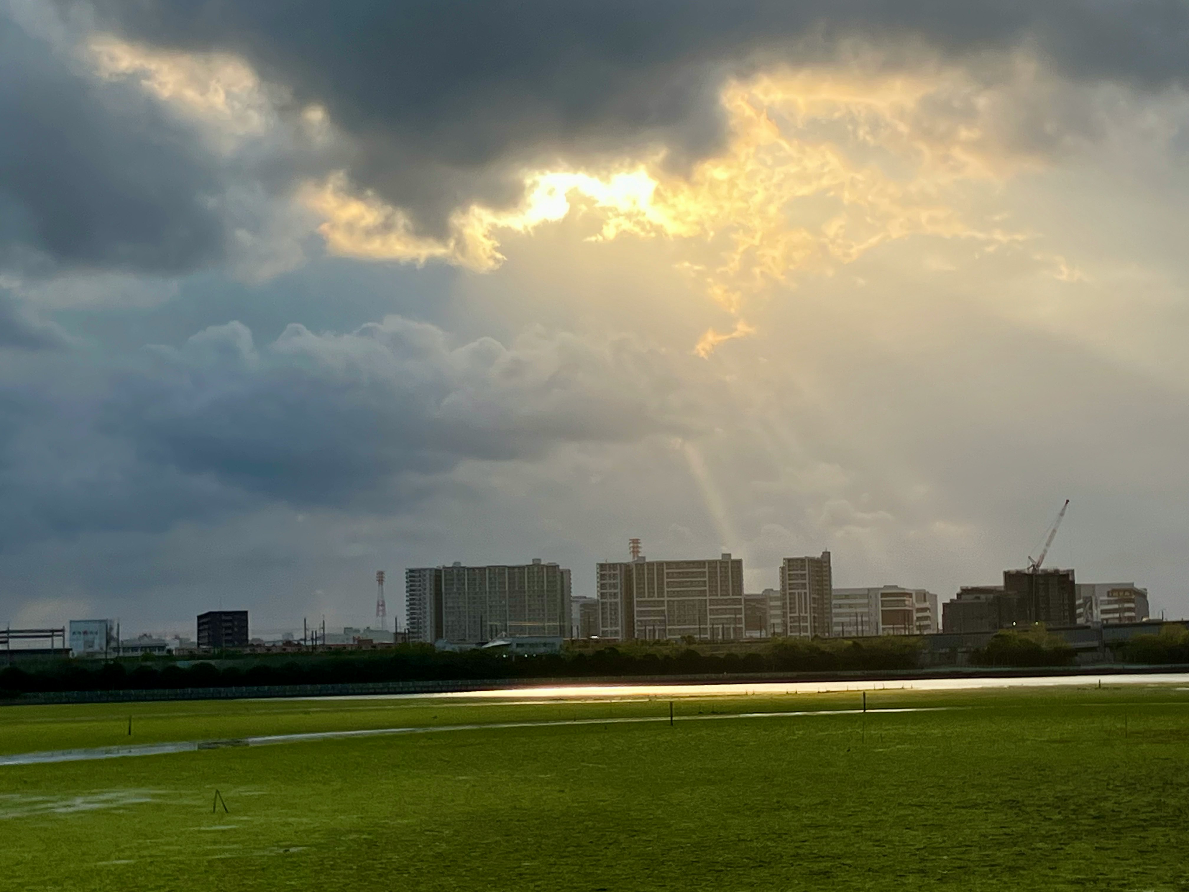夕暮れの広い芝生と遠くの高層ビル群のある風景