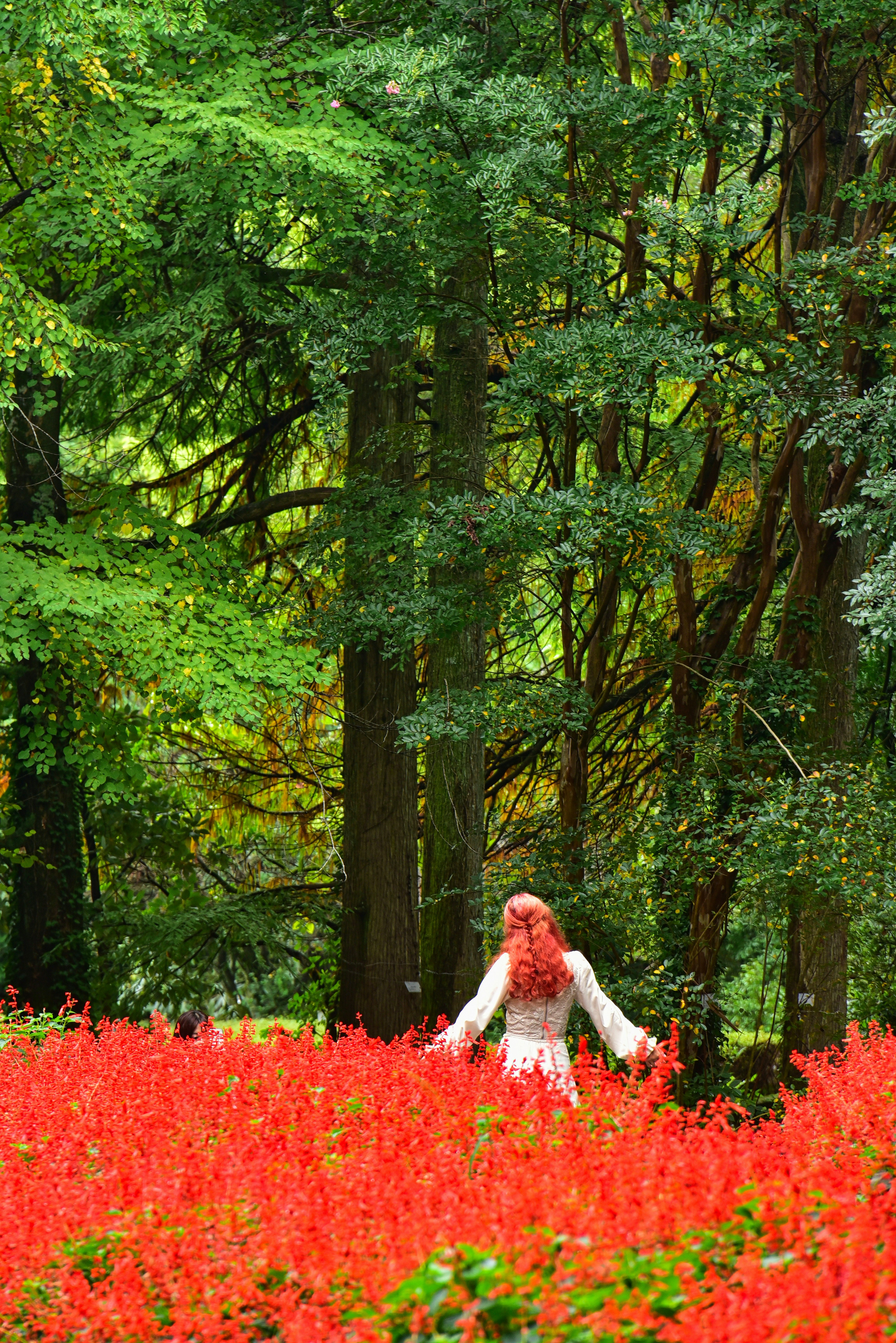 una hada de las flores en un campo de flores rojas rodeada de árboles