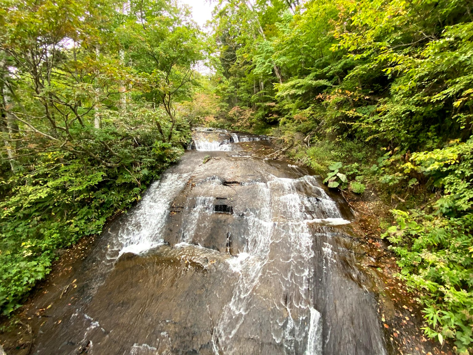 Cascata su rocce lisce circondata da una lussureggiante foresta verde