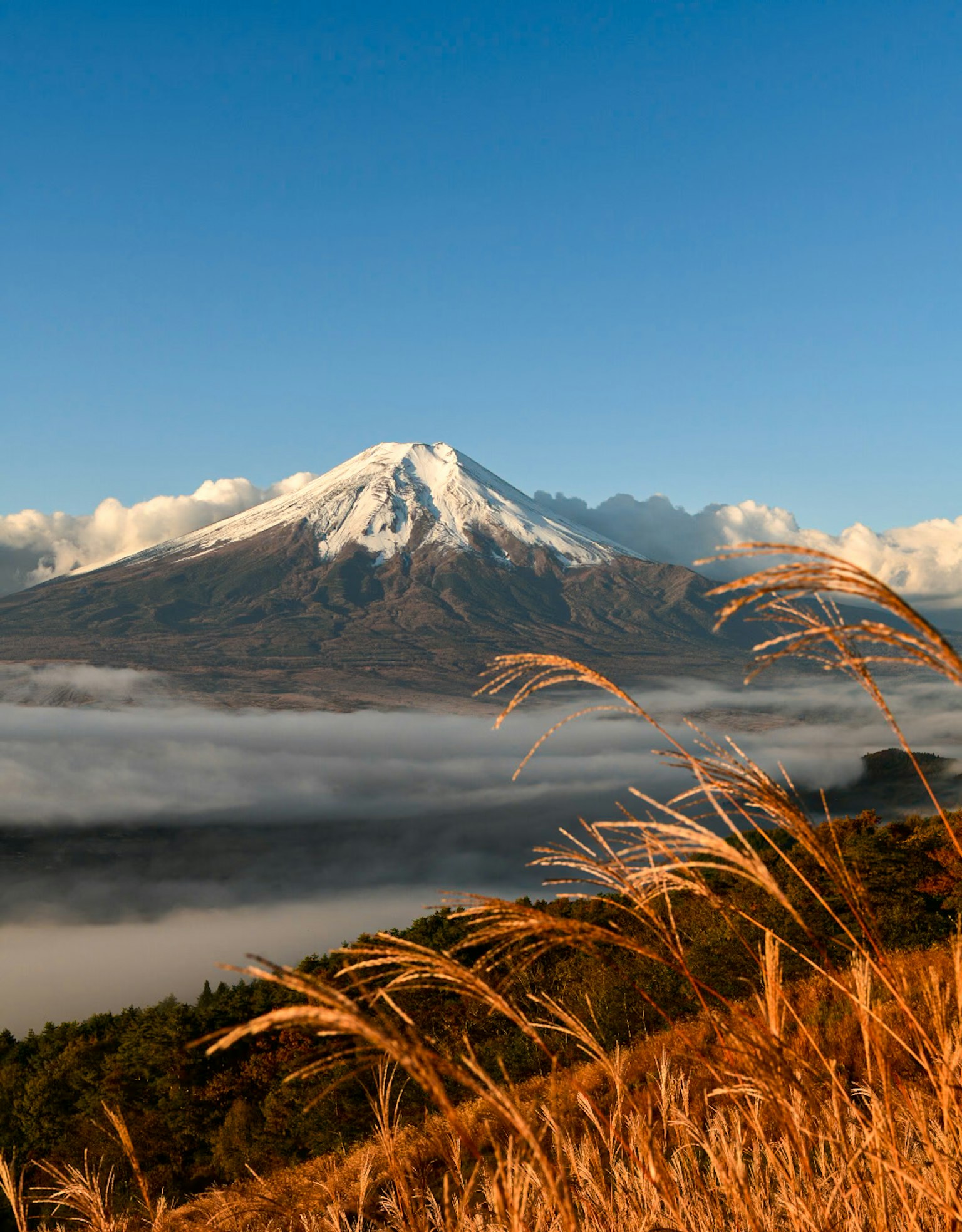 雪山和金色草原的风景