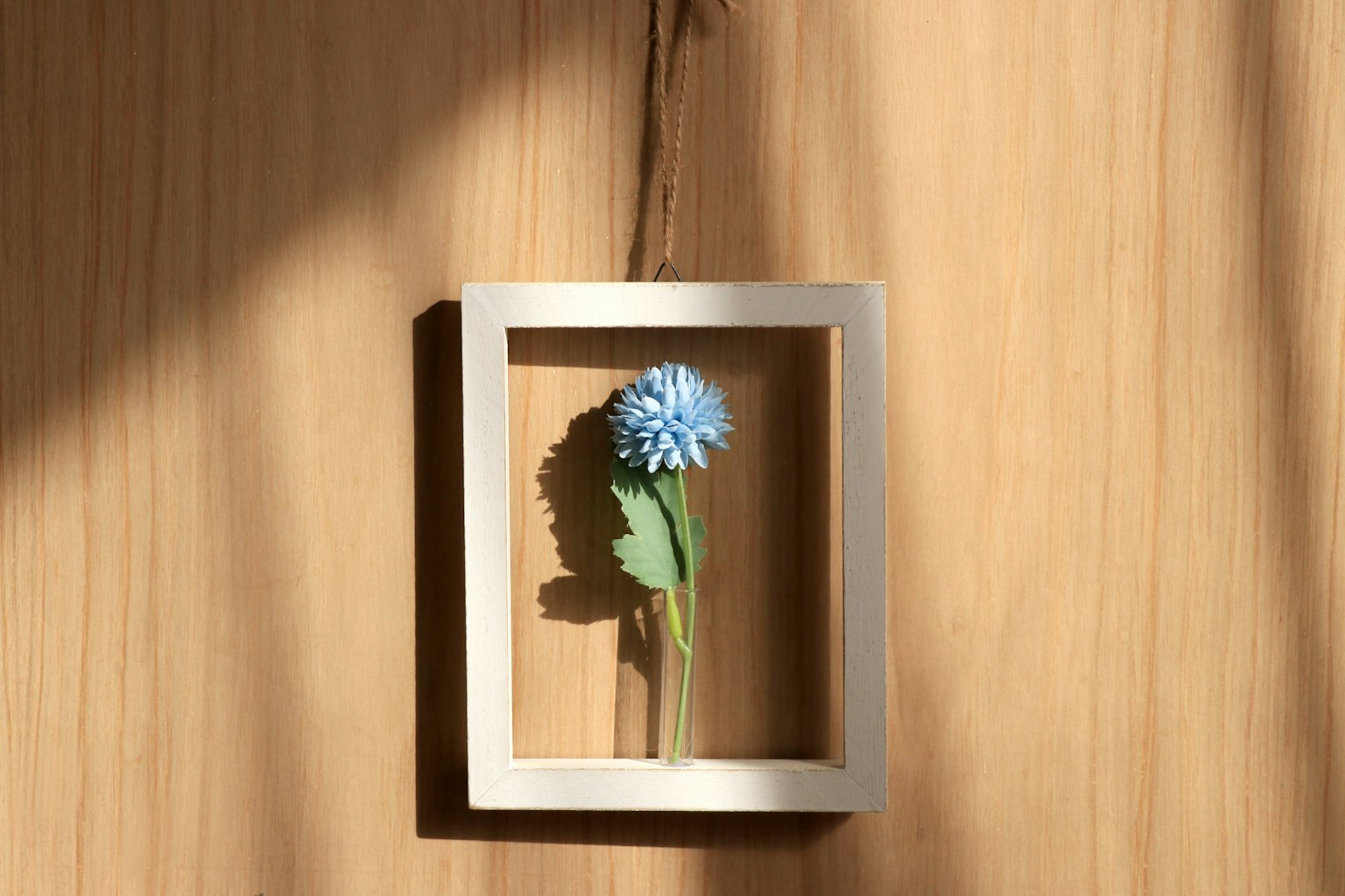 Un fiore blu posizionato all'interno di una cornice bianca su un muro di legno