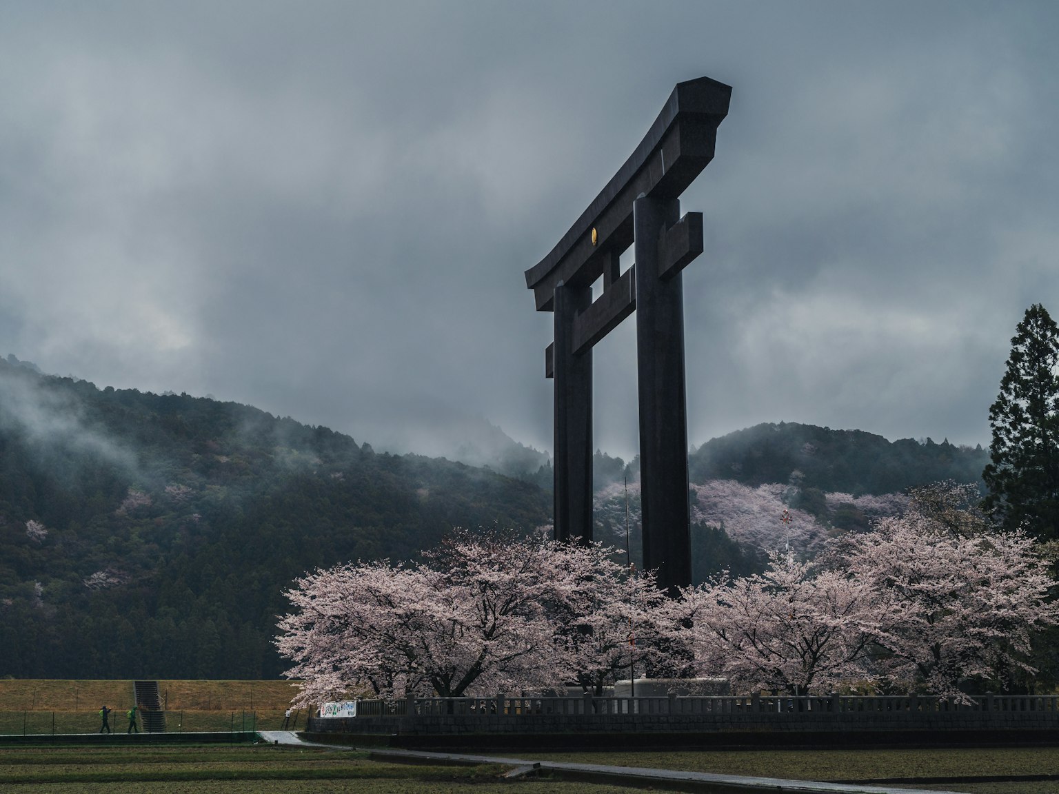 Serene landscape featuring cherry blossom trees and a large torii gate