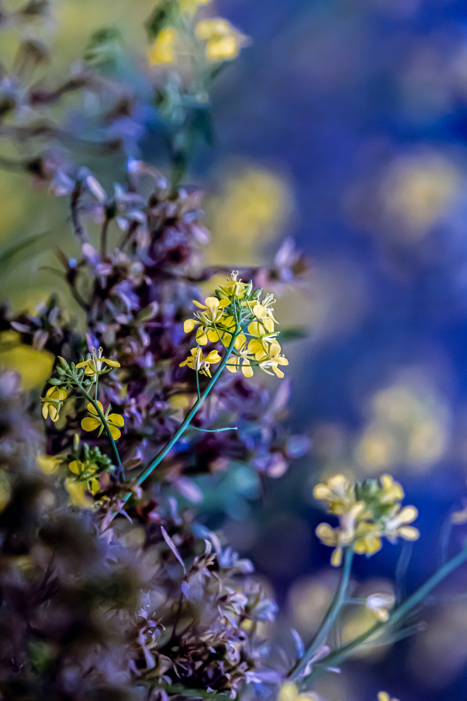 photo-RyyqNVPLihe039uavD3I-image