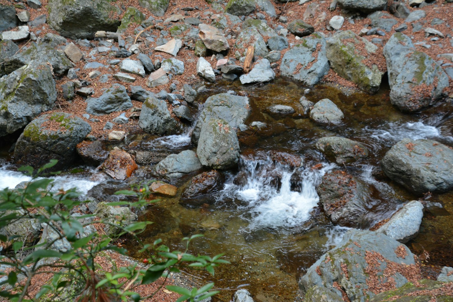 Scène d'un ruisseau avec des pierres et de l'eau qui coule