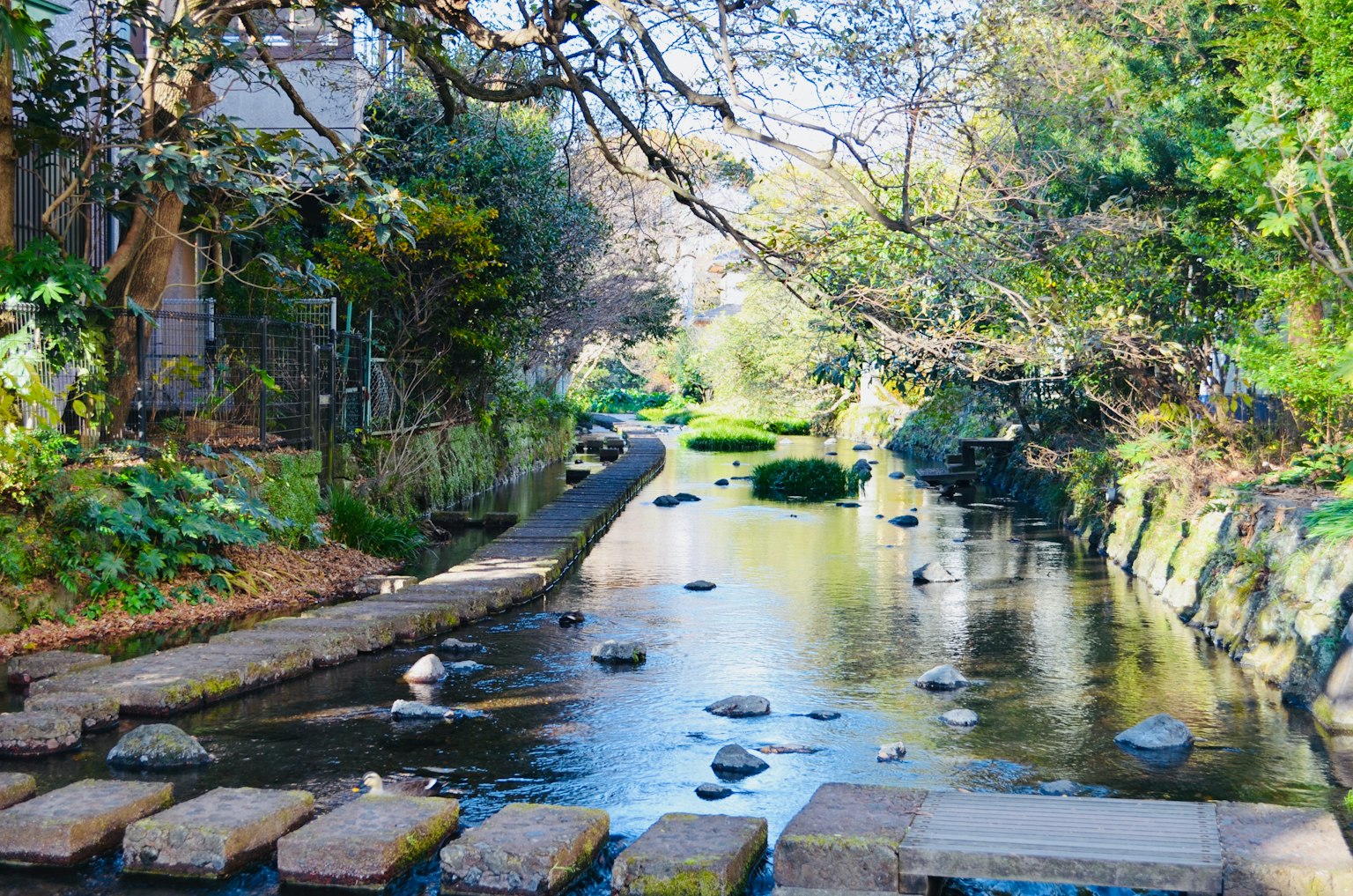 宁静小溪的风景，带有石头步道
