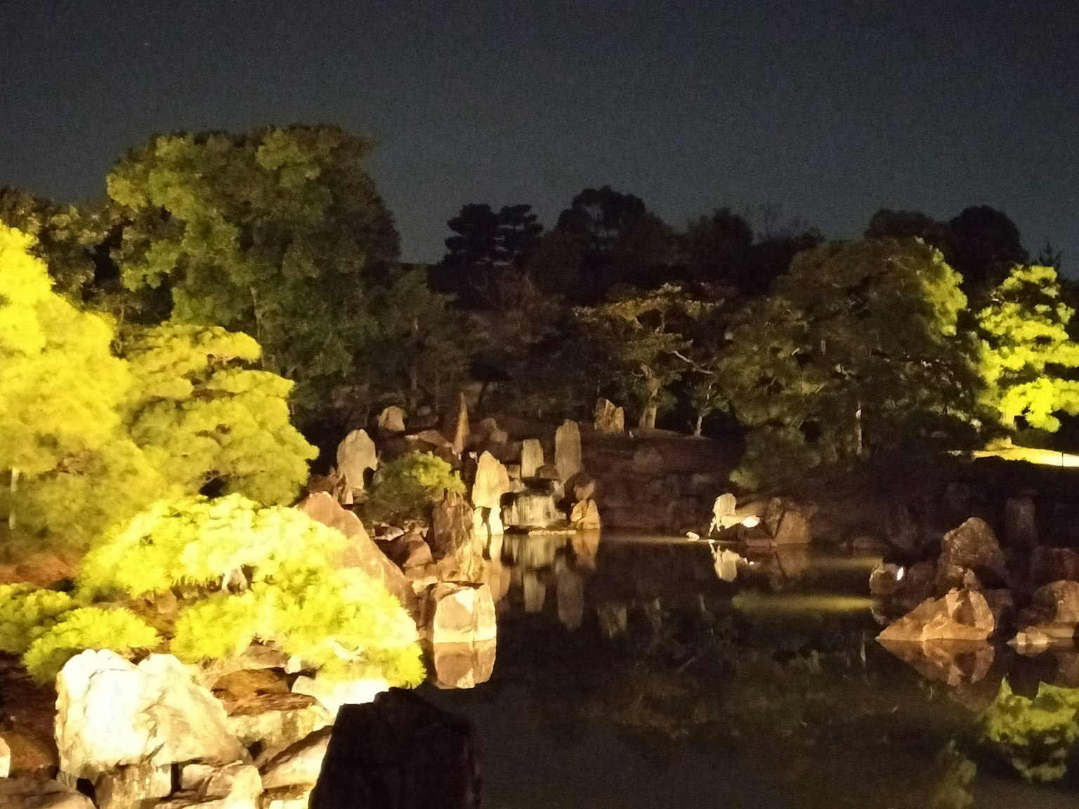 Scène de jardin nocturne avec des rochers et des arbres