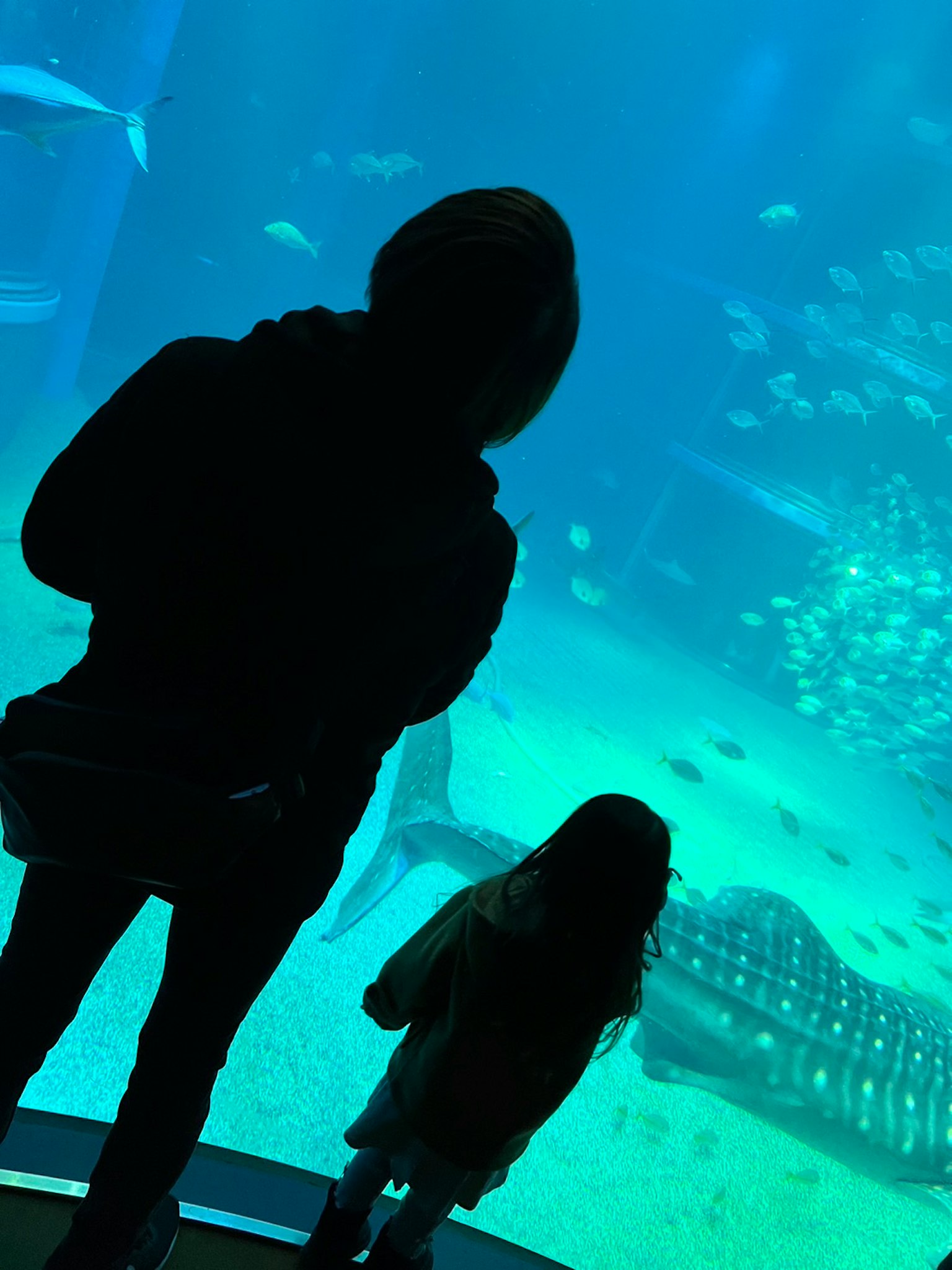 Silhouette of an adult and child gazing at a large aquarium