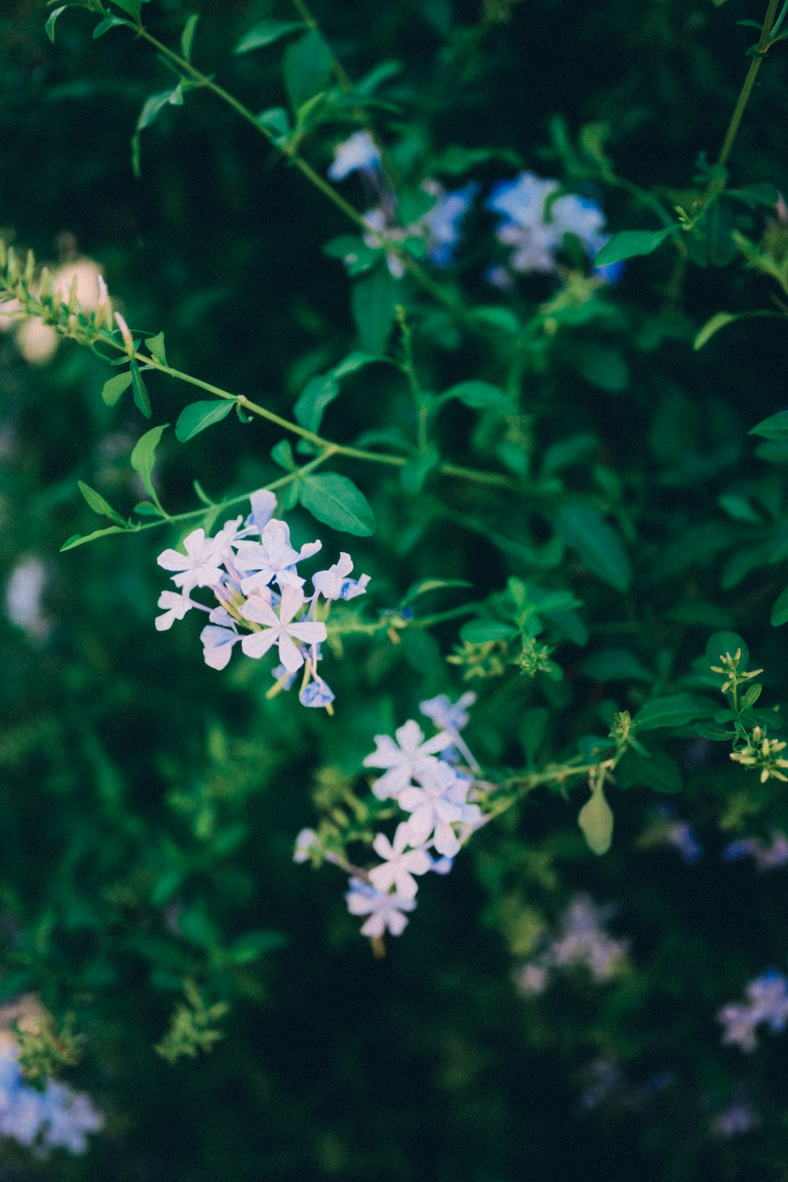 photo-S1AwPoYUjWQVrVrOc37r-image