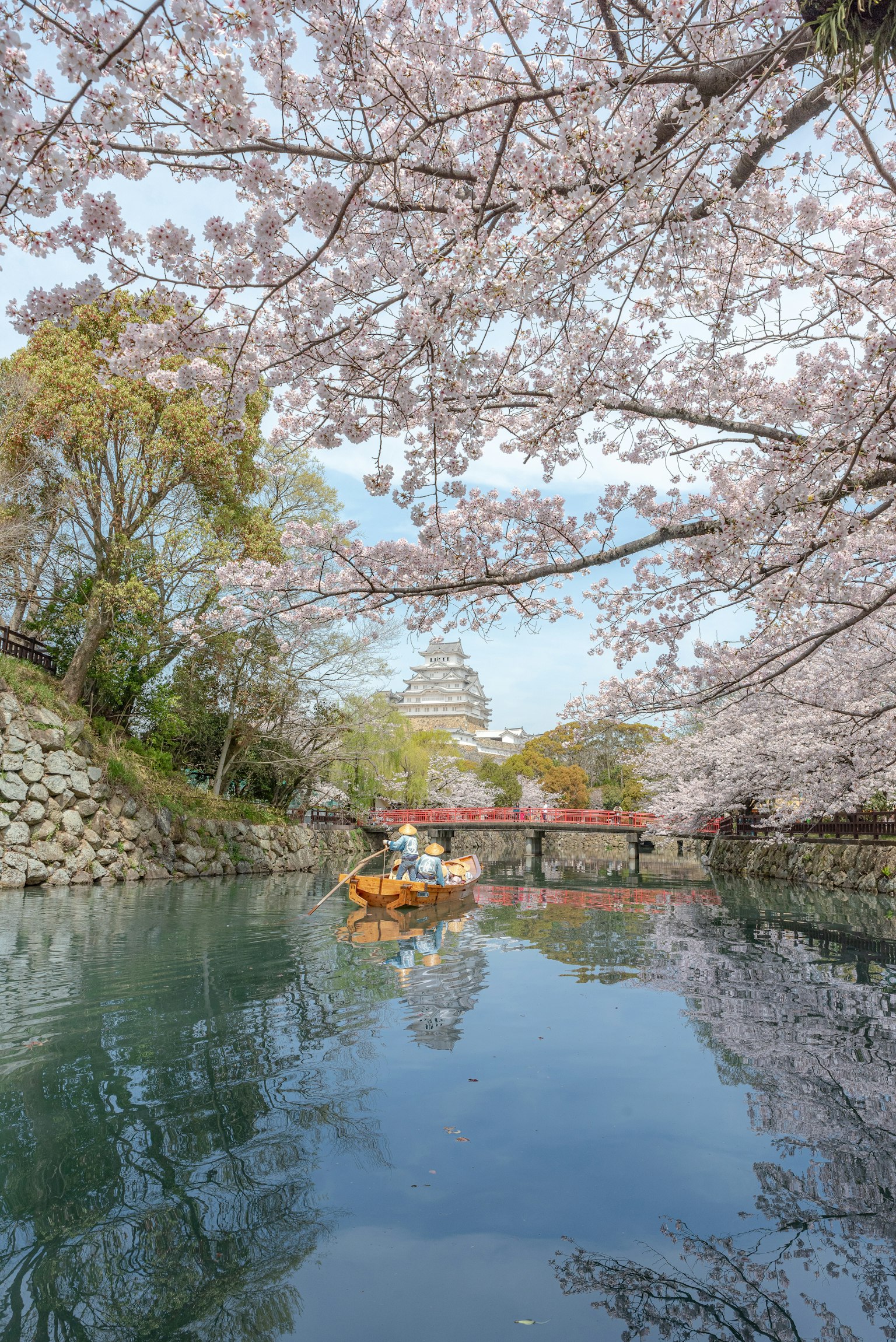 Vista panoramica di una barca su un fiume circondata da ciliegi in fiore