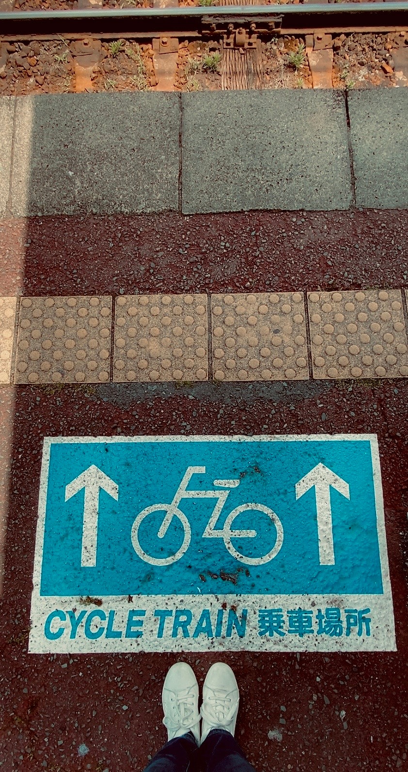 駅のホームの自転車マークとサイクルトレイン乗車場所の表示画像