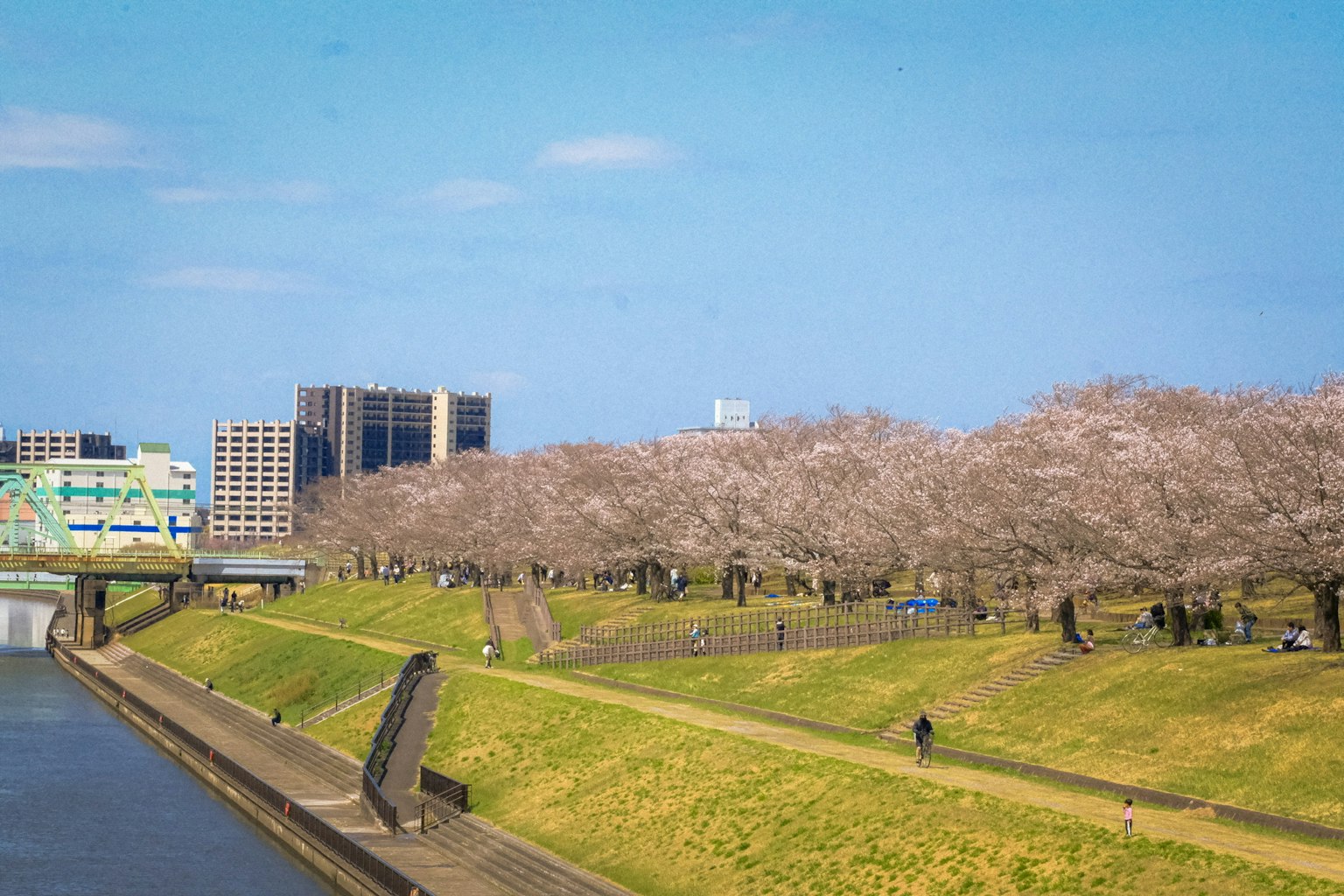 Vista escénica de cerezos a lo largo de un río con cielo azul y personas caminando