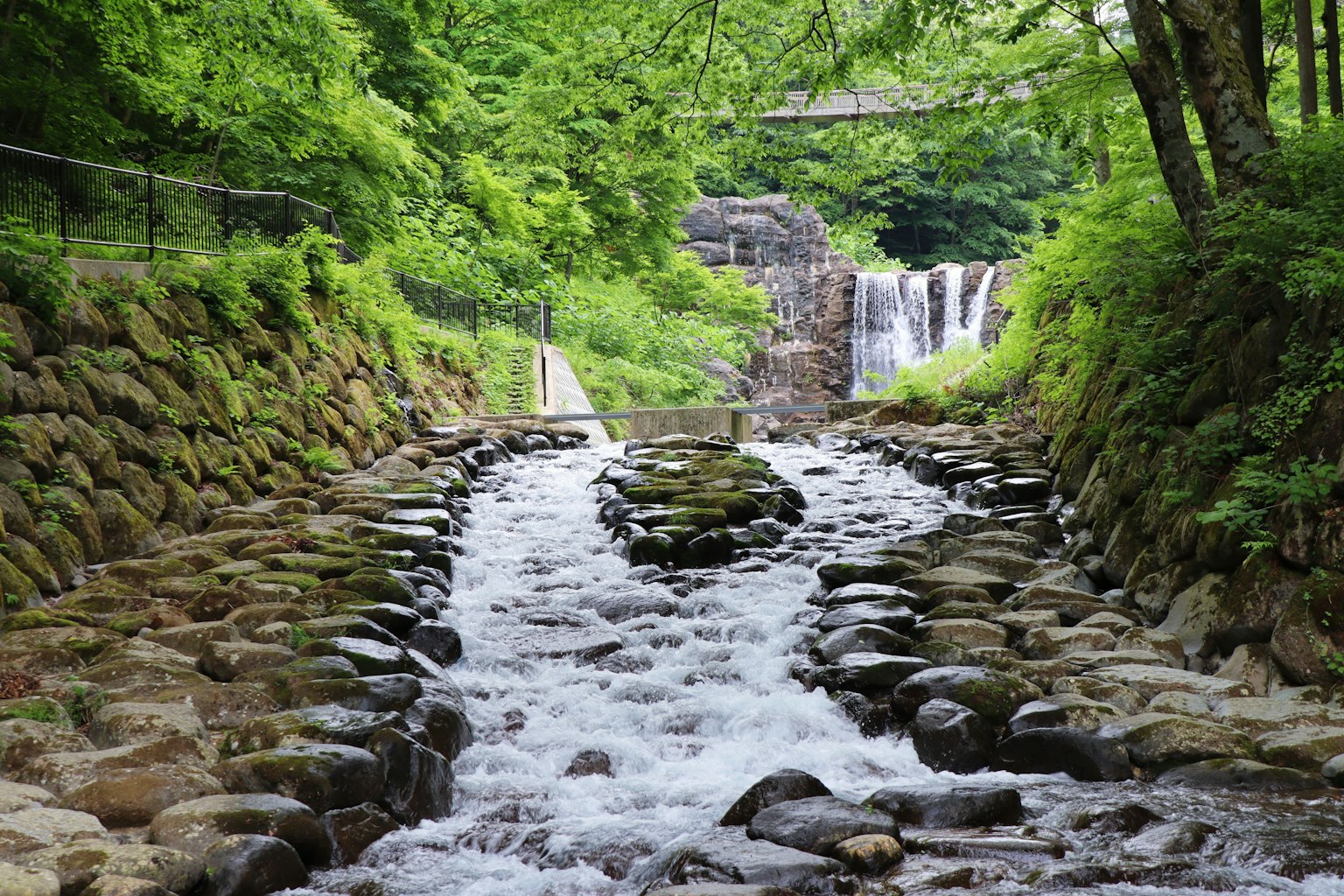 Un fiume sereno che scorre attraverso una vegetazione lussureggiante con una piccola cascata