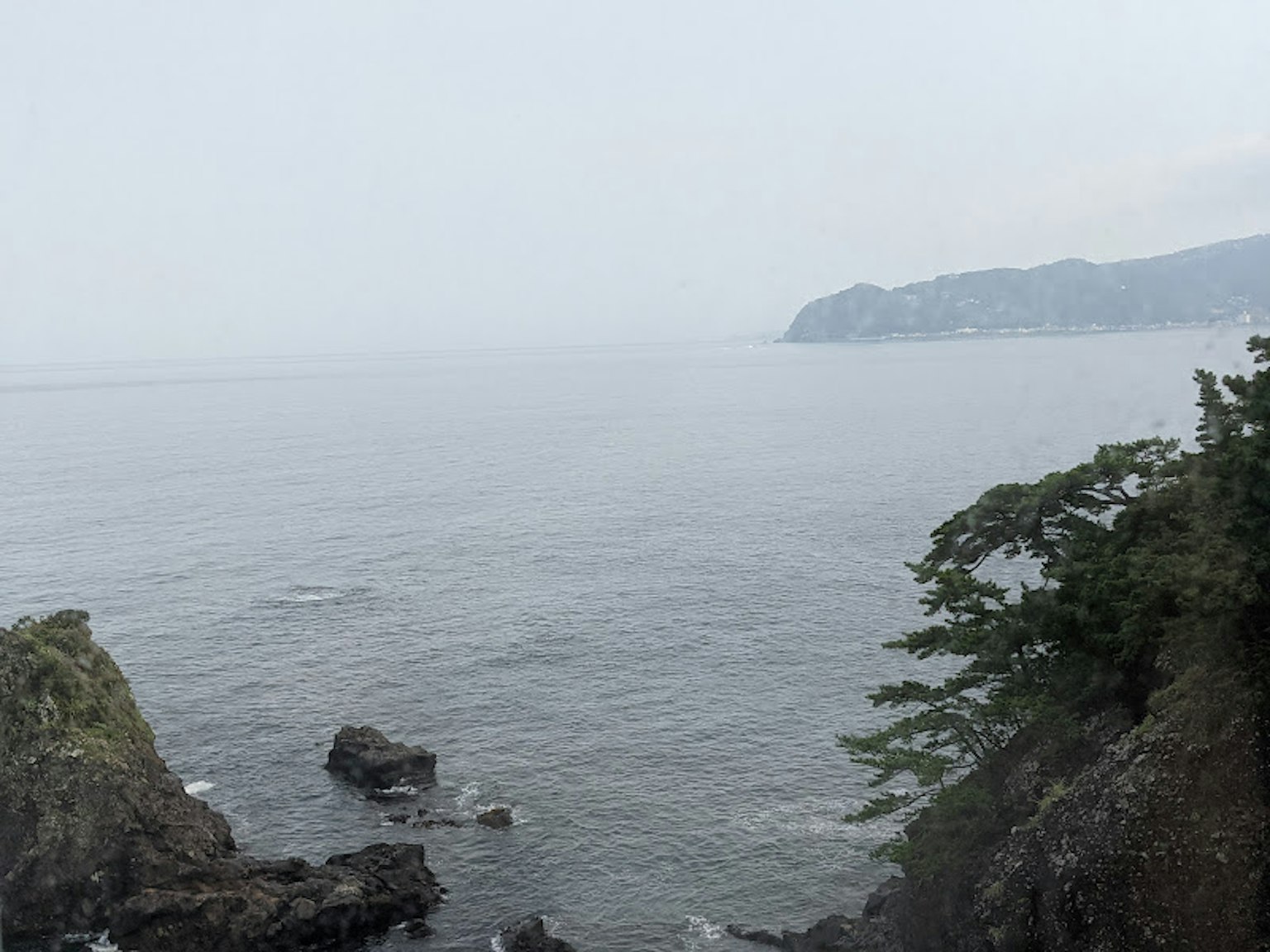 Pemandangan pantai dengan laut berkabut, tebing berbatu dan pohon-pohon