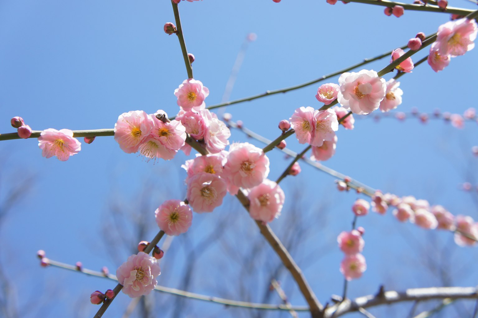 photo-S3srJH8e5MSVUsGIcMfa-image