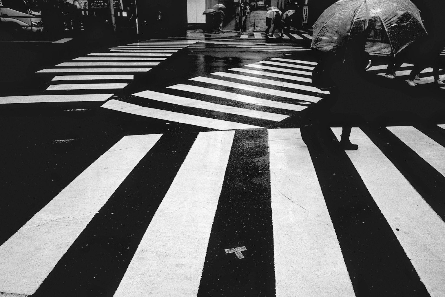 A person walking with an umbrella on a black and white crosswalk