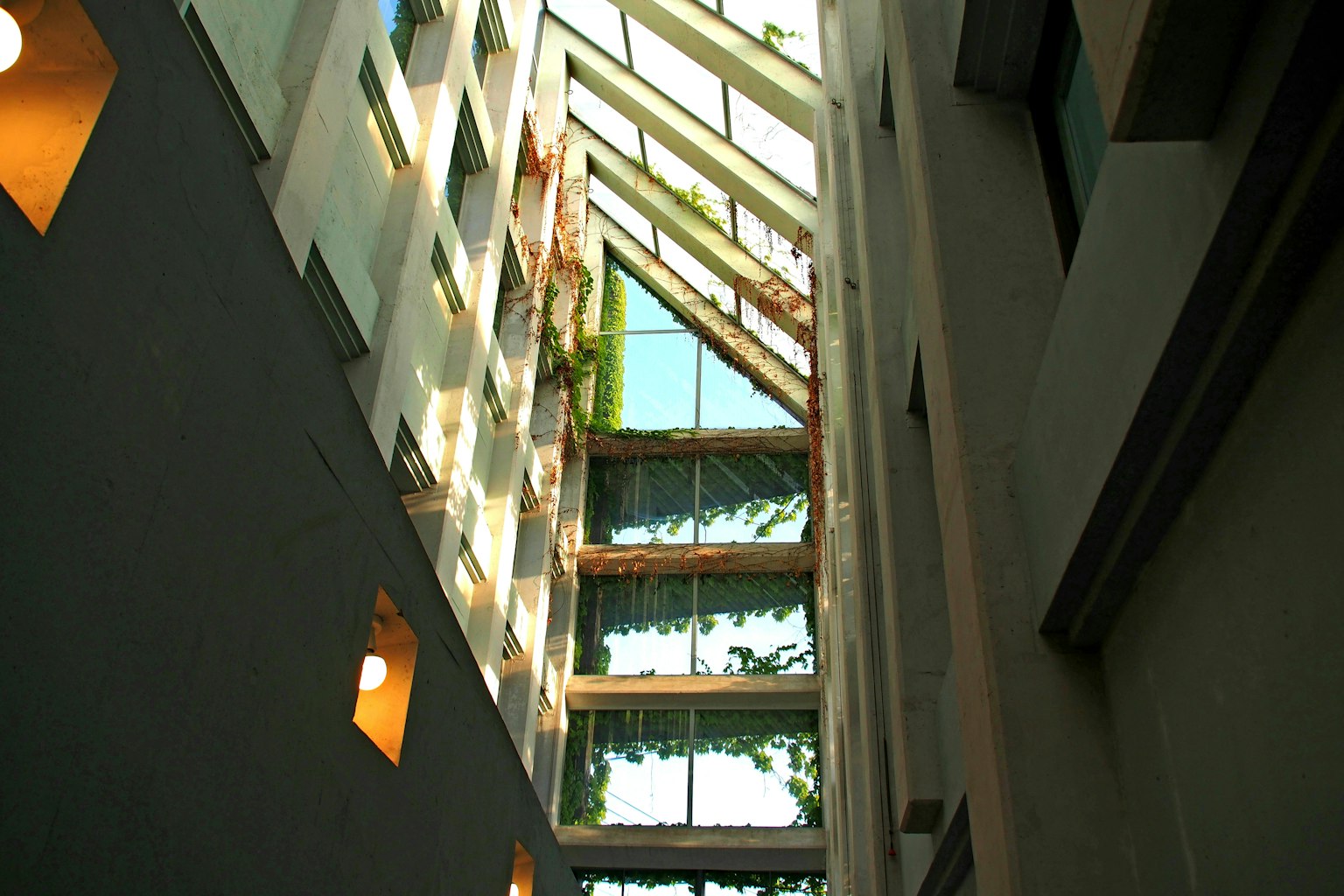 A space between tall buildings featuring glass walls and greenery