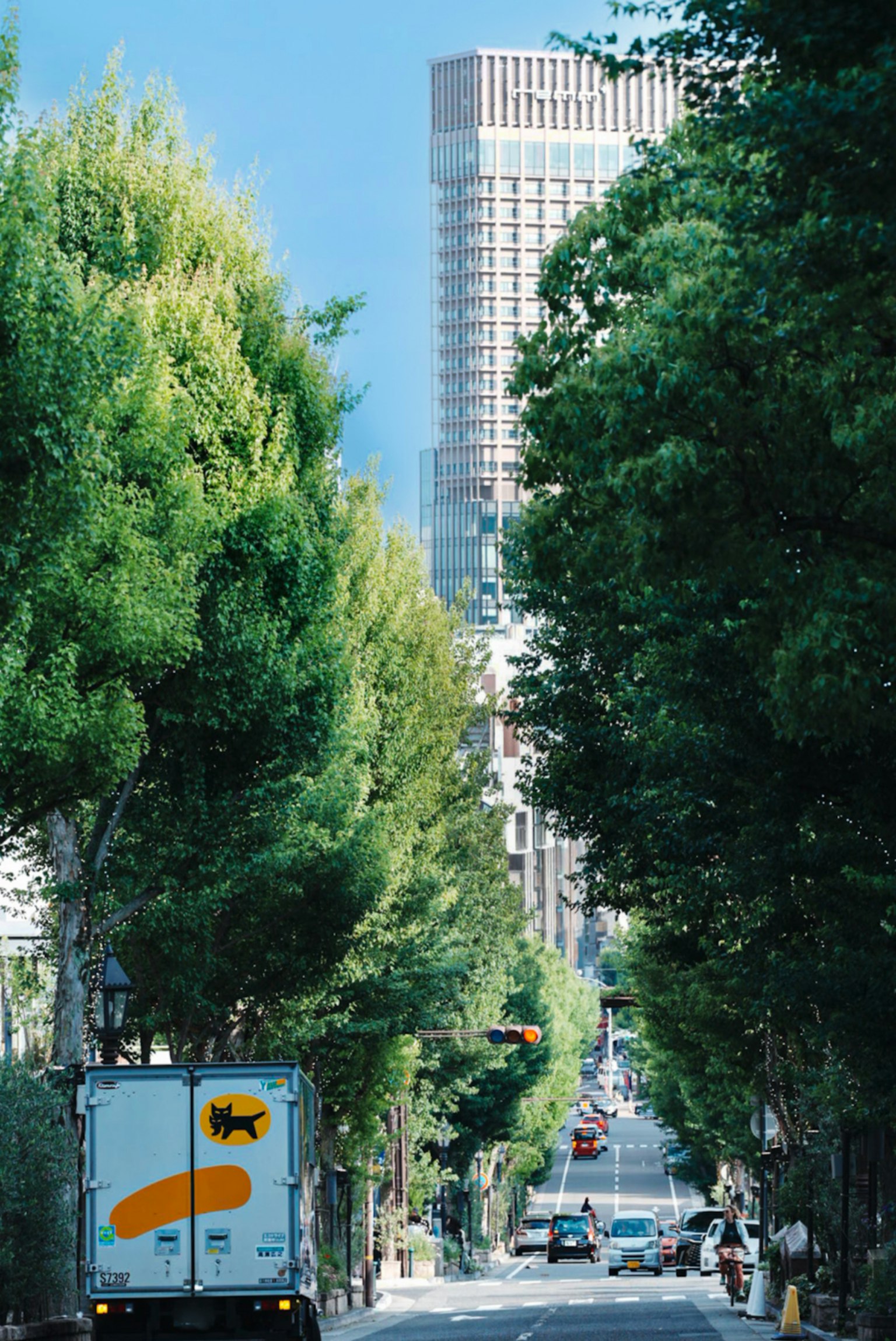Städtische Straße gesäumt von grünen Bäumen und einem Wolkenkratzer im Hintergrund