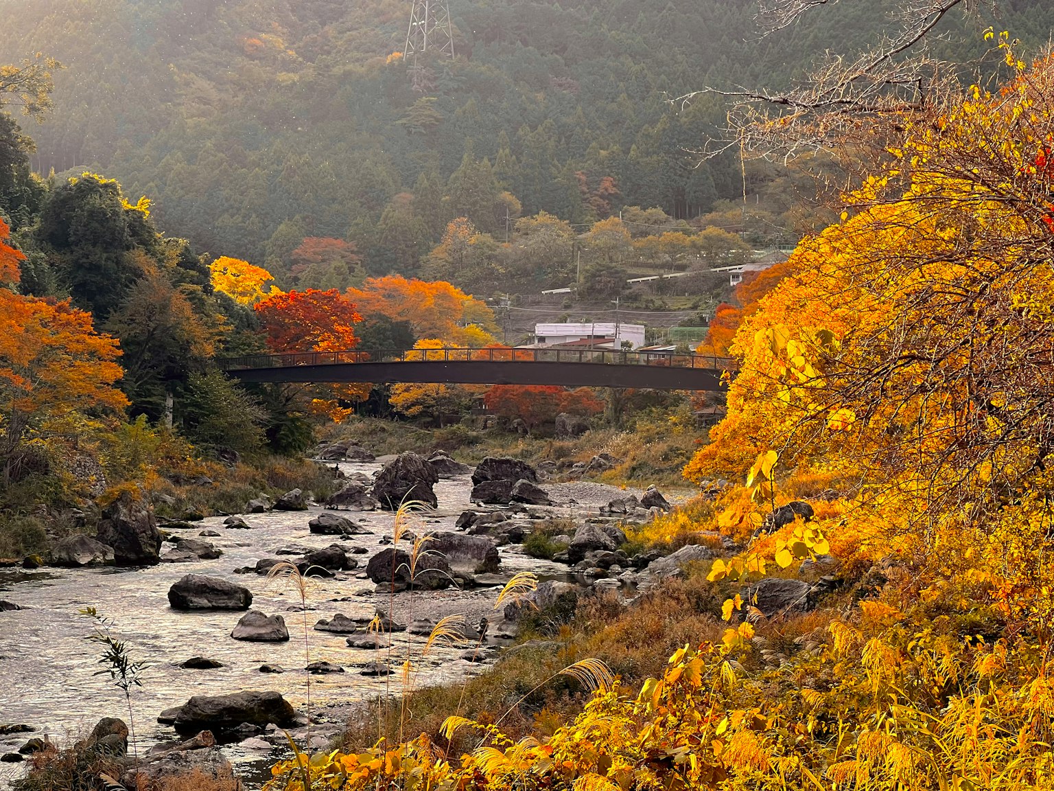 Schöne Herbstlandschaft mit einem fließenden Fluss und gelbblättrigen Bäumen mit einer Brücke