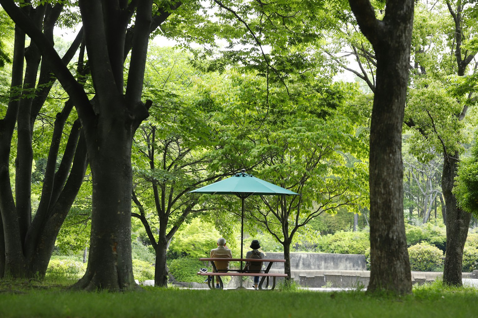 緑豊かな公園でベンチに座る二人の人々と傘
