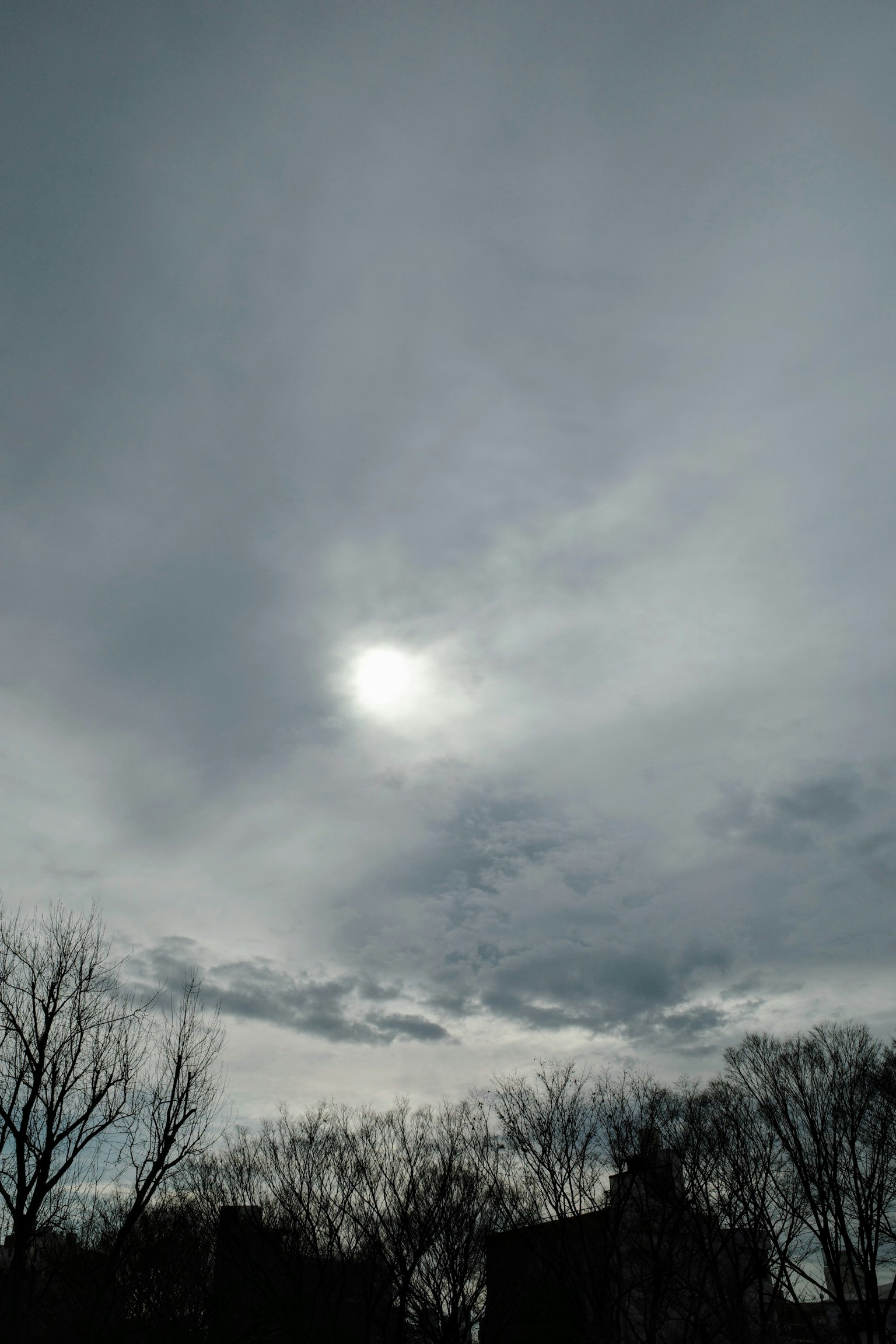 Eine schwache Sonne hinter einem bewölkten Himmel mit Silhouetten von Bäumen