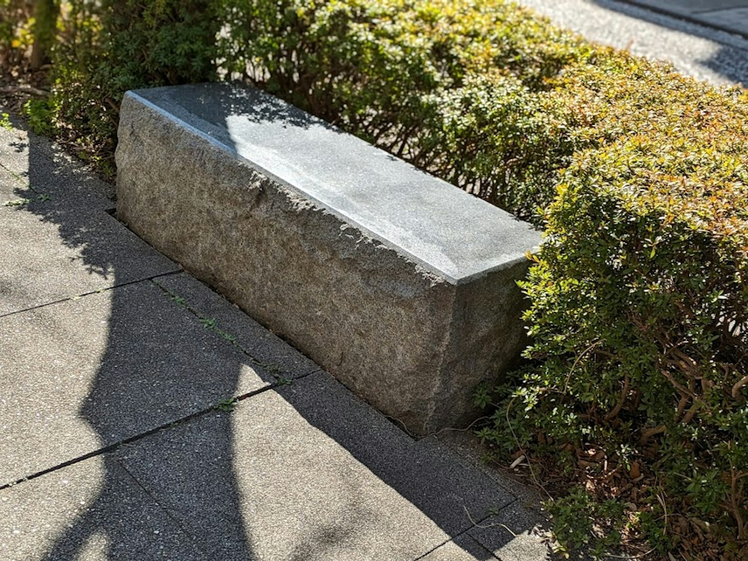 一塊石凳旁邊有綠色的樹籬