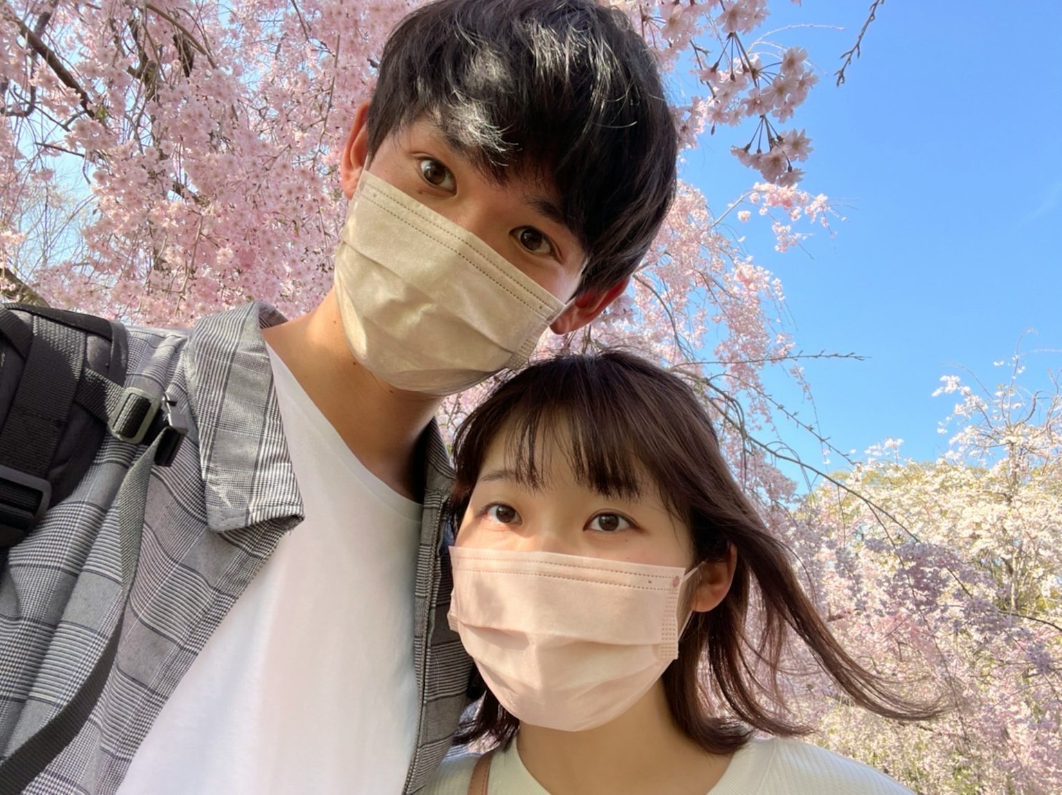 A young couple wearing masks smiling for a selfie under cherry blossom trees