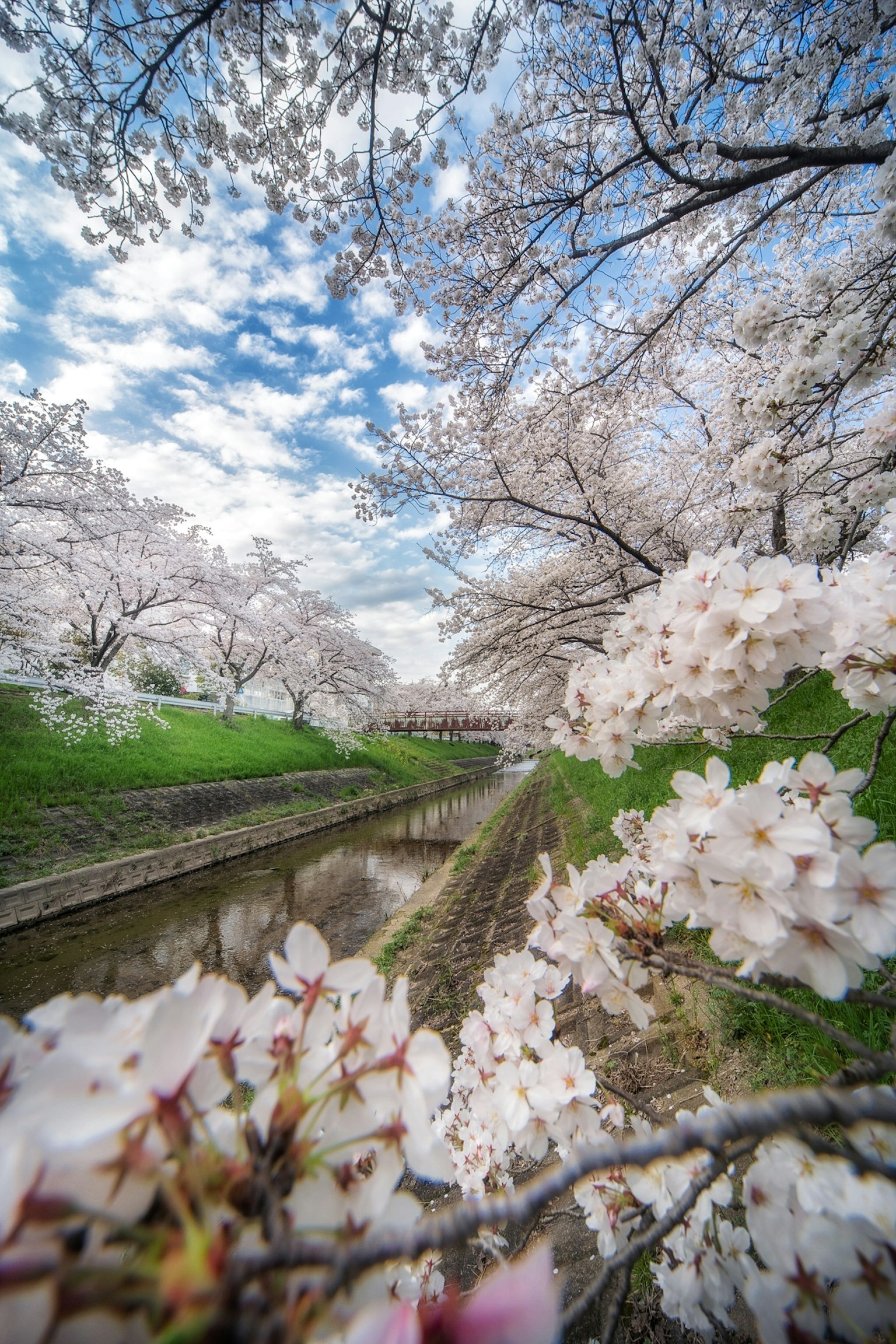 photo-S77I1DTH0oTjzQ3JjWfK-image