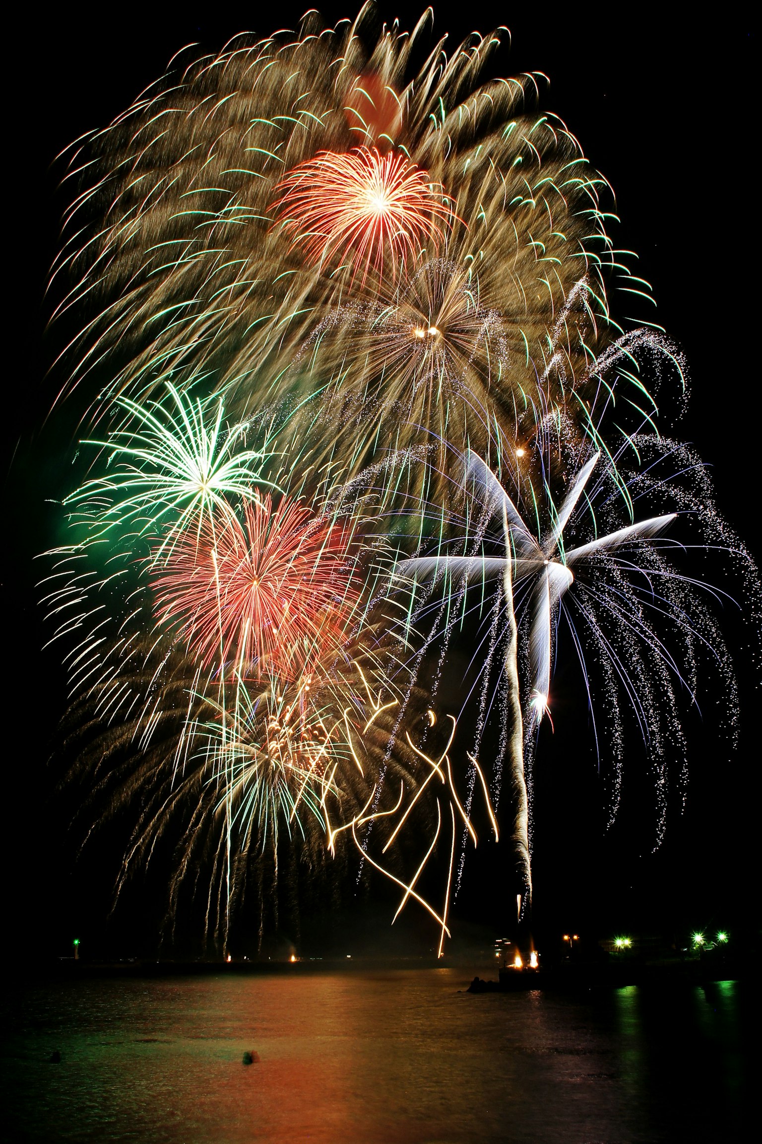 Colorful fireworks bursting in the night sky