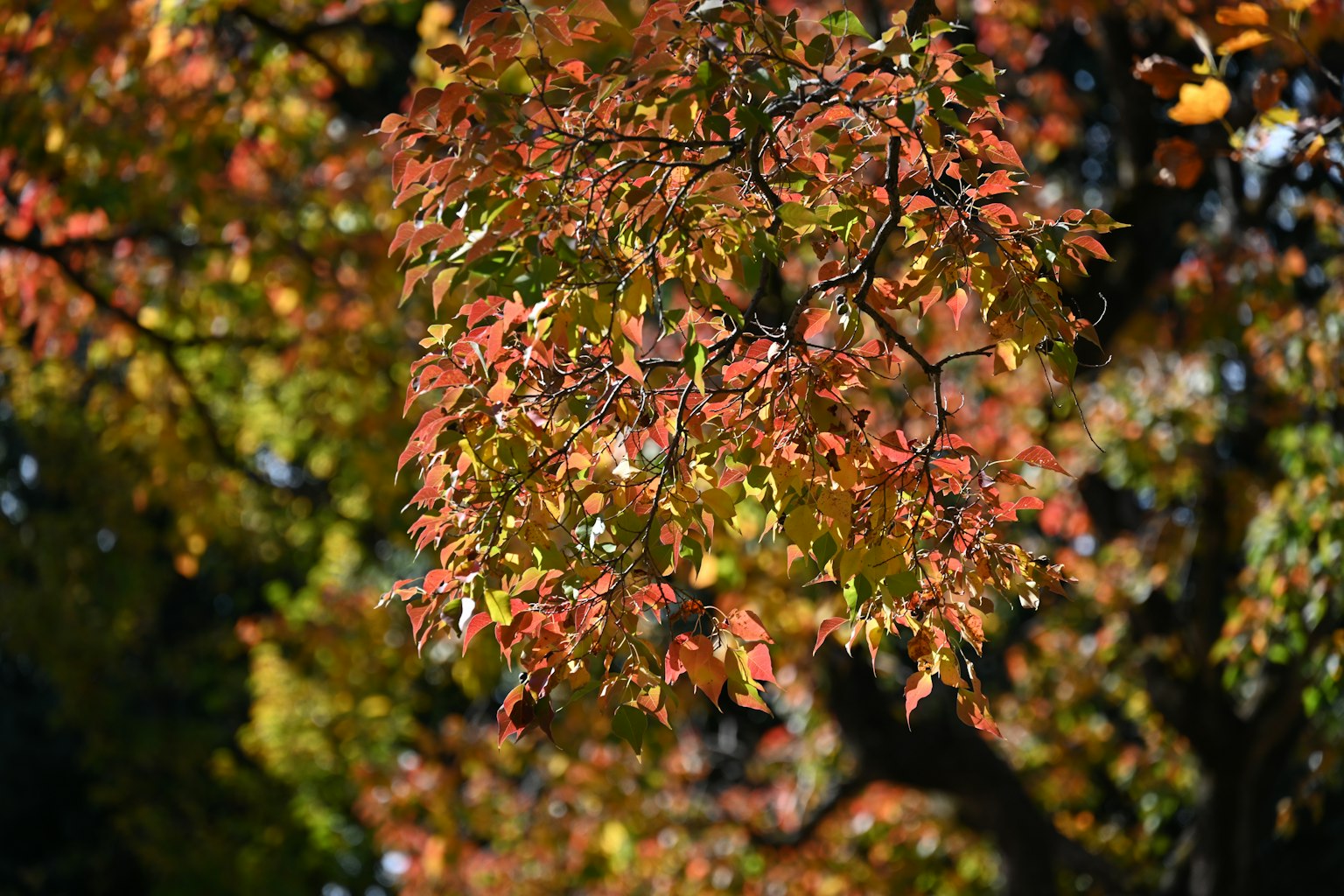 photo-S7zhxaJiW474qDaLuVkY-image