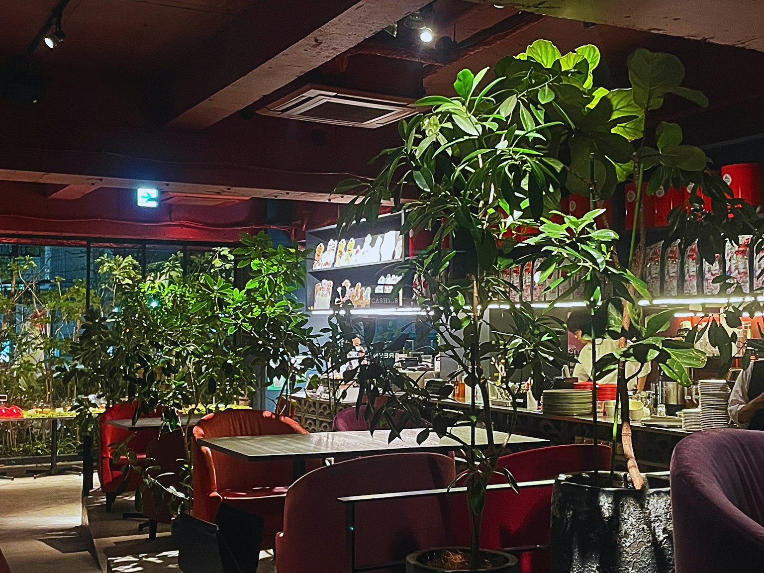 Intérieur d'un café rempli de plantes vertes luxuriantes avec des tables et des chaises