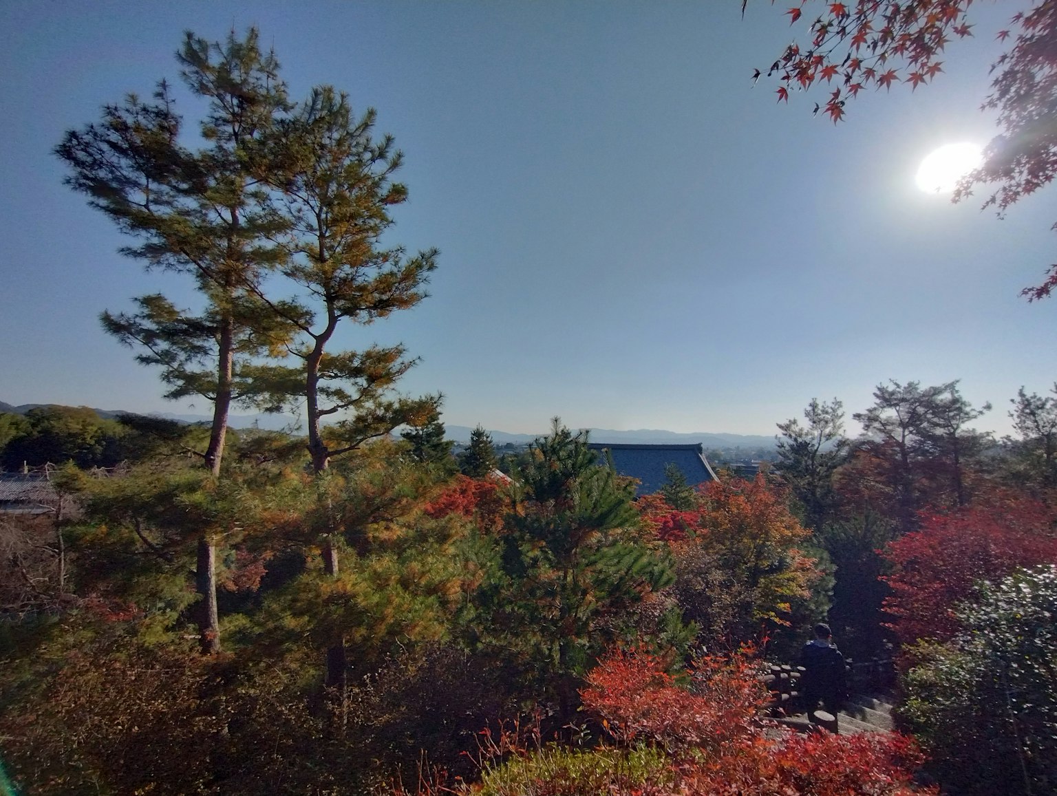 Paesaggio con cielo blu e fogliame autunnale con sole