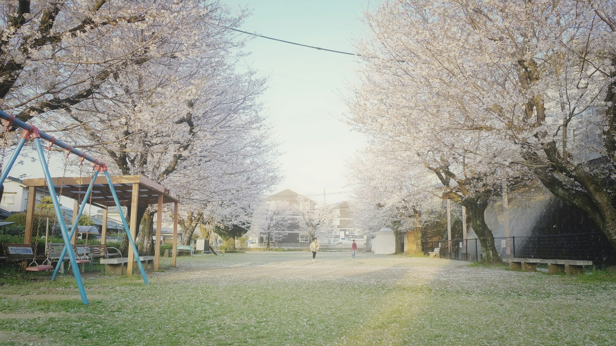 桜並木の遊歩道でブランコのある公園