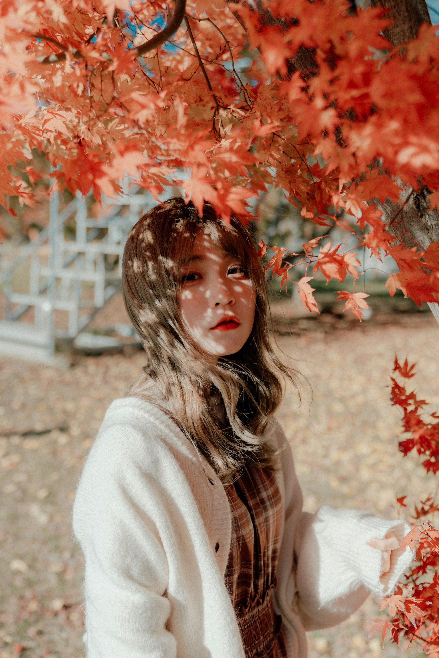 Ritratto di una donna tra foglie d'autunno vivaci che indossa un cardigan bianco con fogliame rosso sullo sfondo