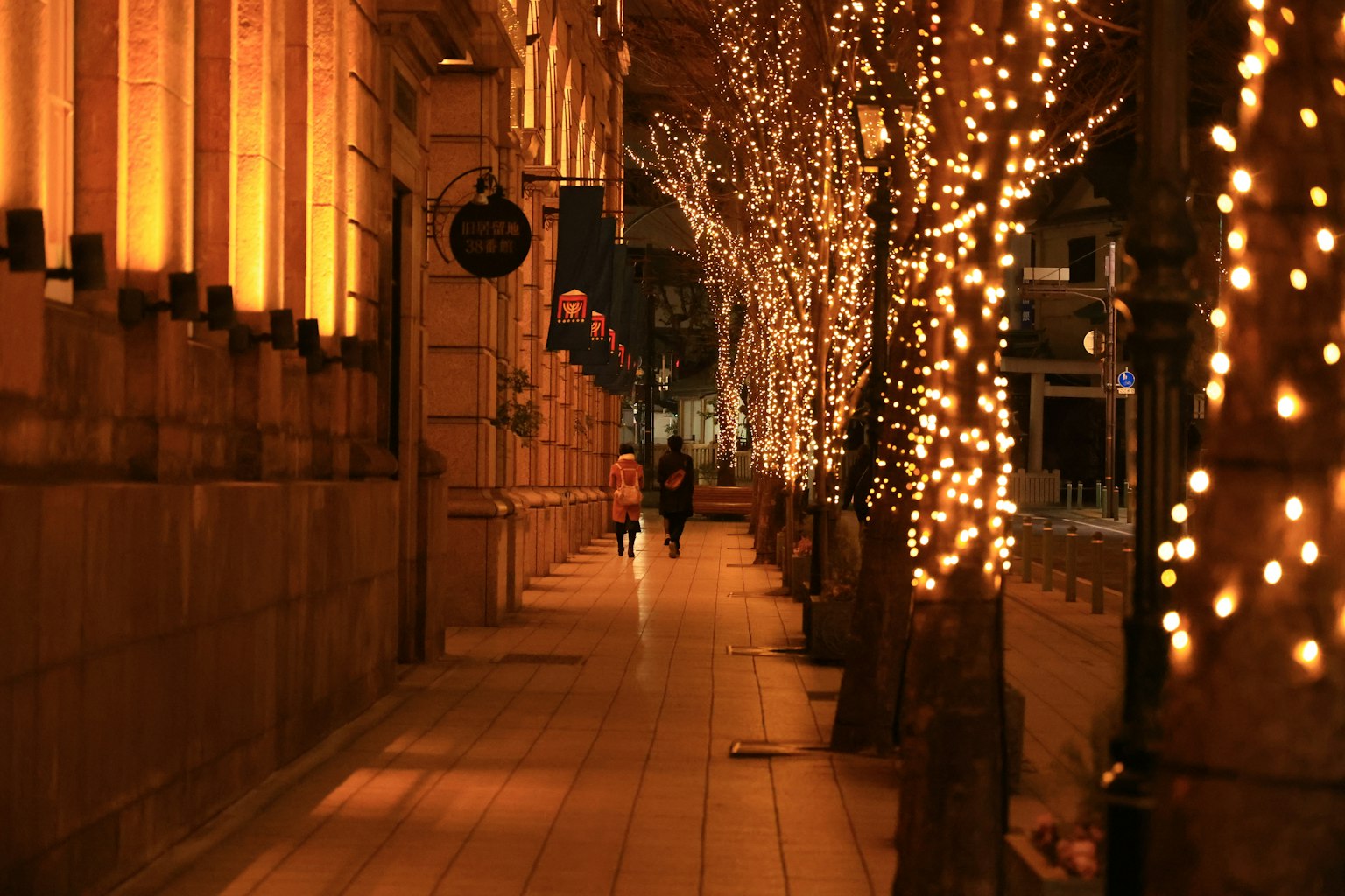 ถนนที่มีต้นไม้ประดับไฟและแสงอบอุ่นในเวลากลางคืน