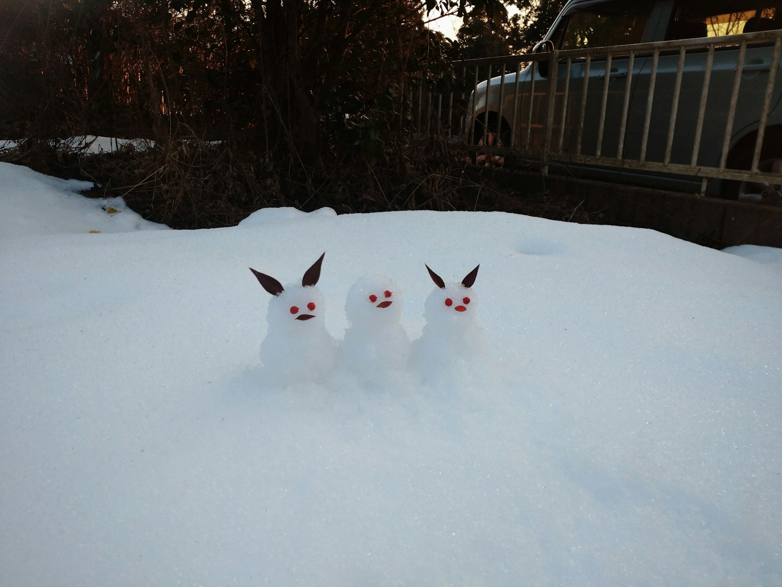 Drei Schneehasen in einer verschneiten Landschaft weißer Schnee und dunkler Hintergrund