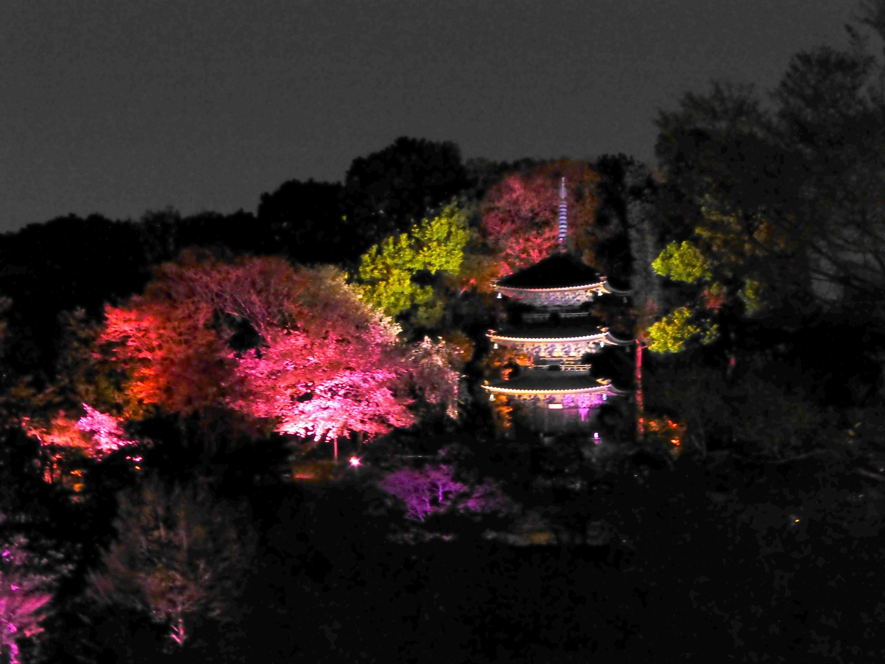 temple illuminé la nuit et arbres aux couleurs vives