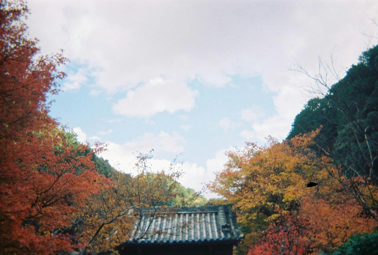 紅葉に囲まれた屋根と山並みの風景