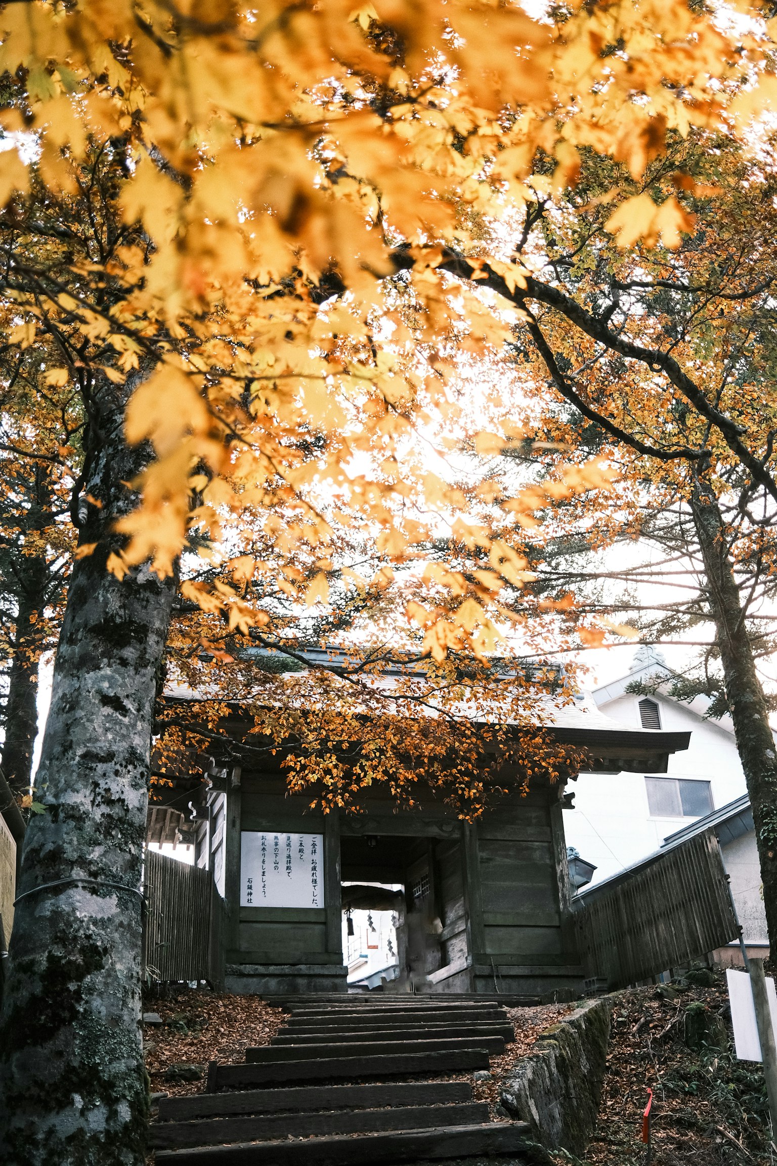 Ancient gate at the end of a mountain path surrounded by autumn leaves