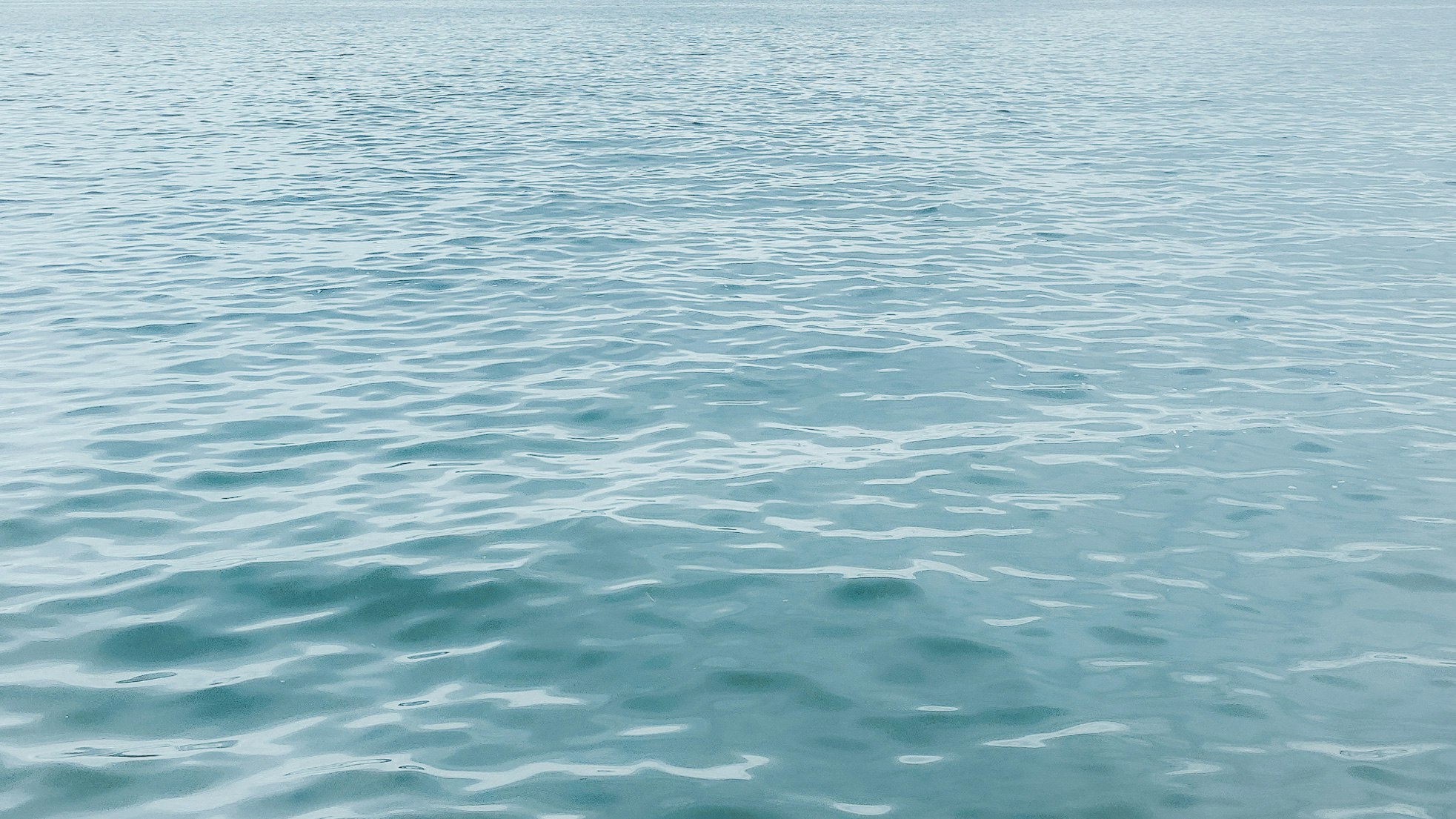 穏やかな海面の波紋が広がる水面