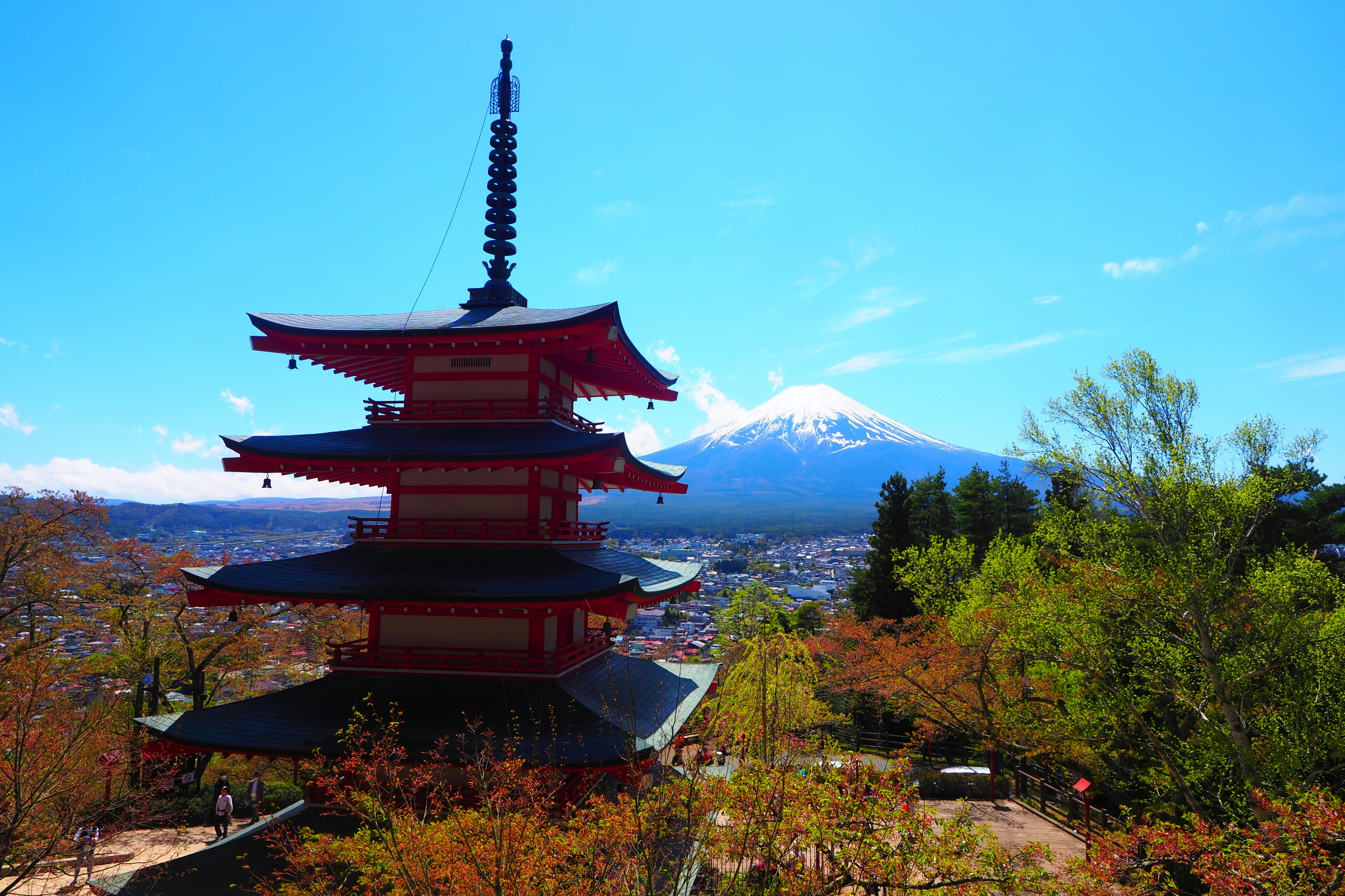 红色宝塔与富士山同框的秋季寺庙景