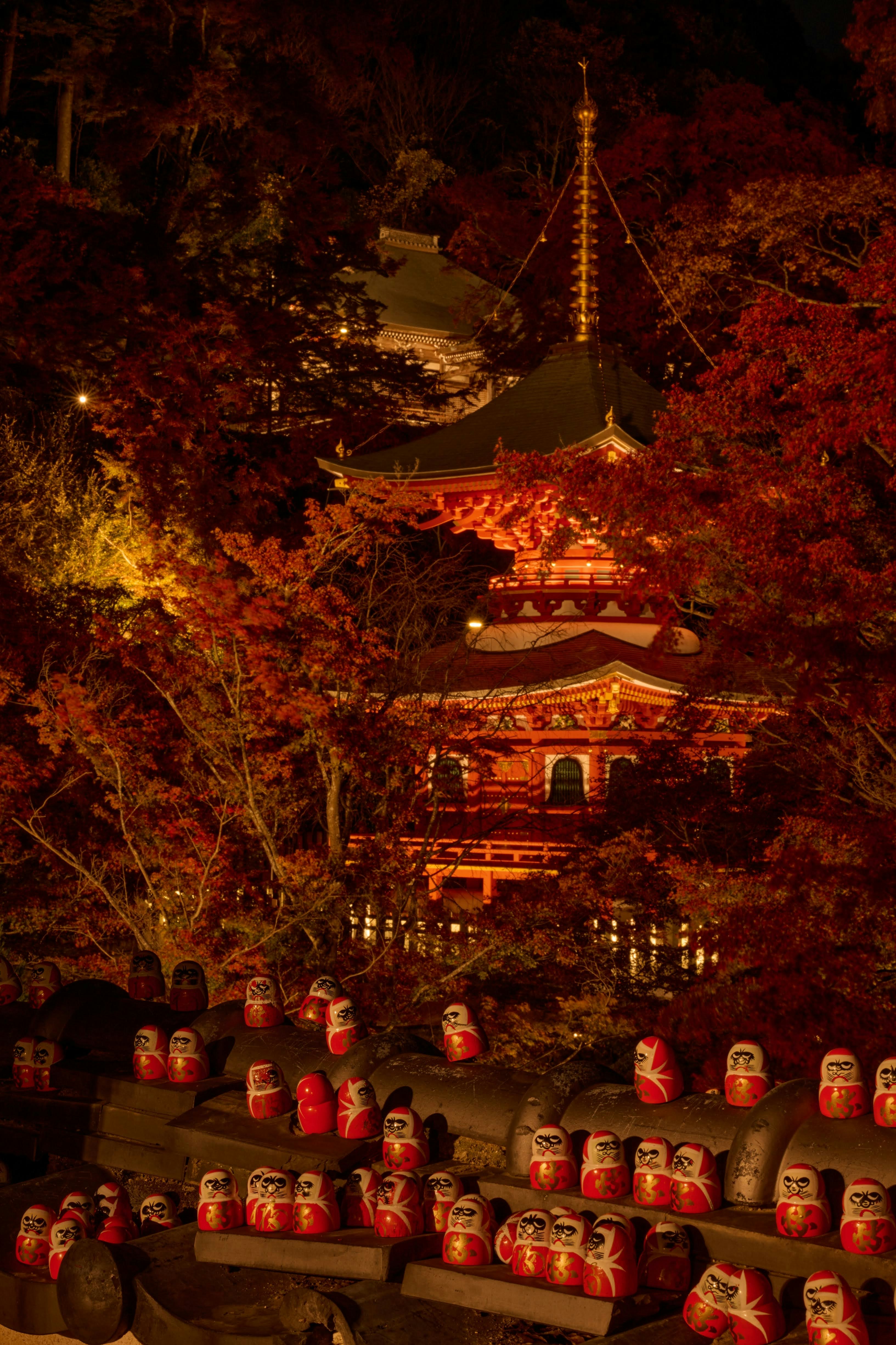 夜の境内で並ぶだるまと提灯の灯りのある風景