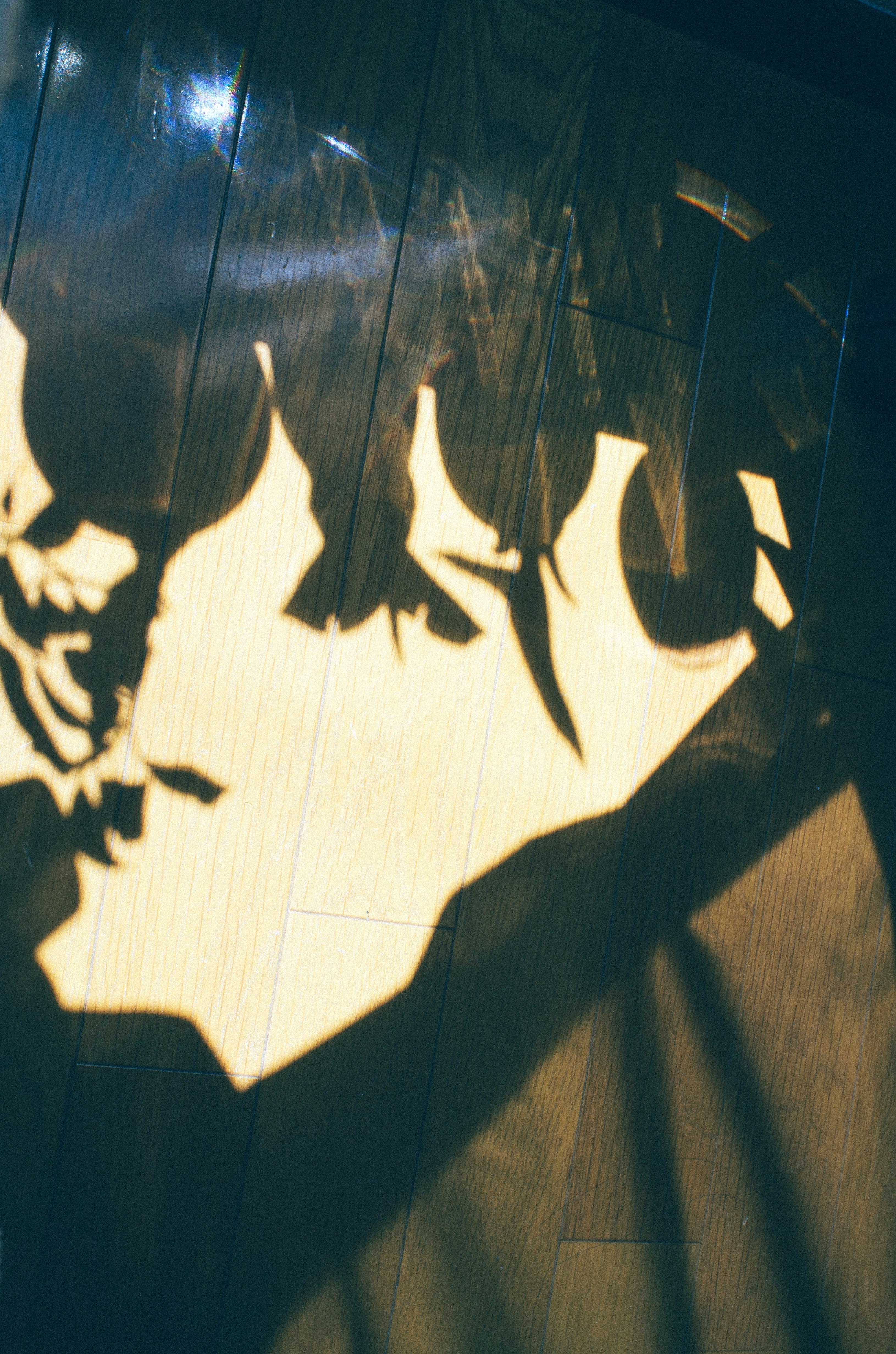 hands and shadows with spring sprout light