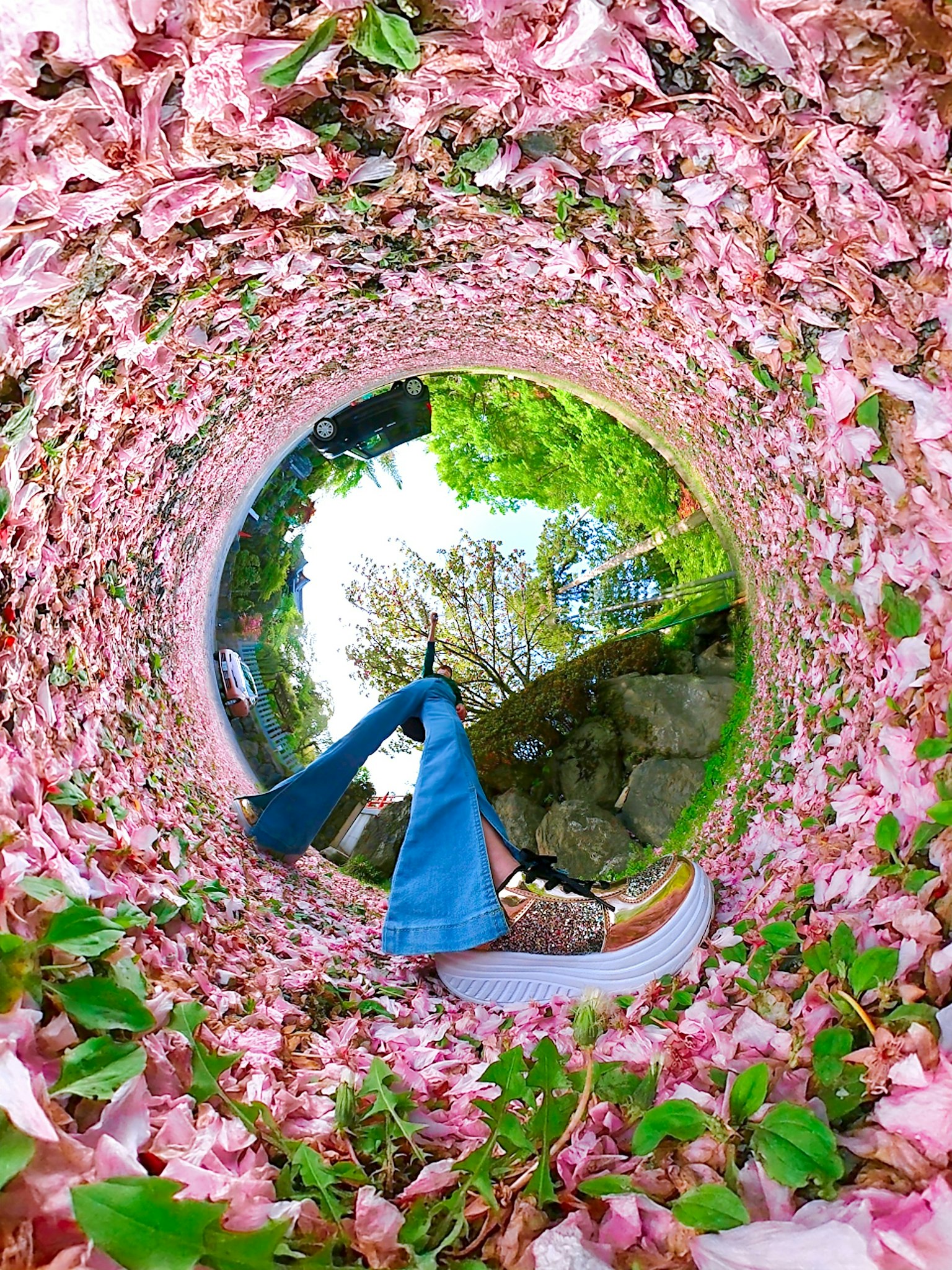 Person in blauer Kleidung steht neben einem Teich umgeben von rosa Kirschblütenblättern