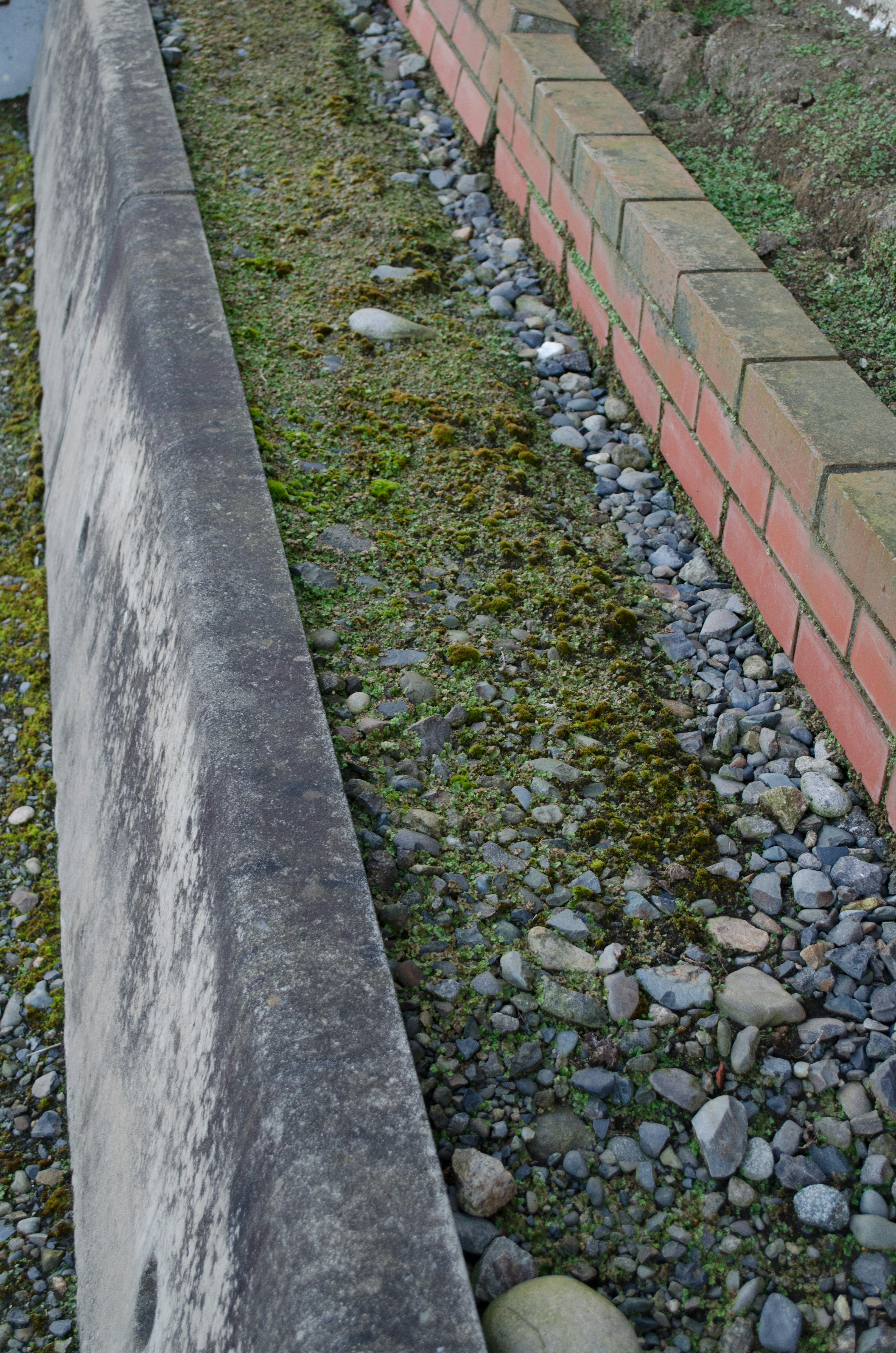 muro de ladrillo y camino de piedras en un jardín