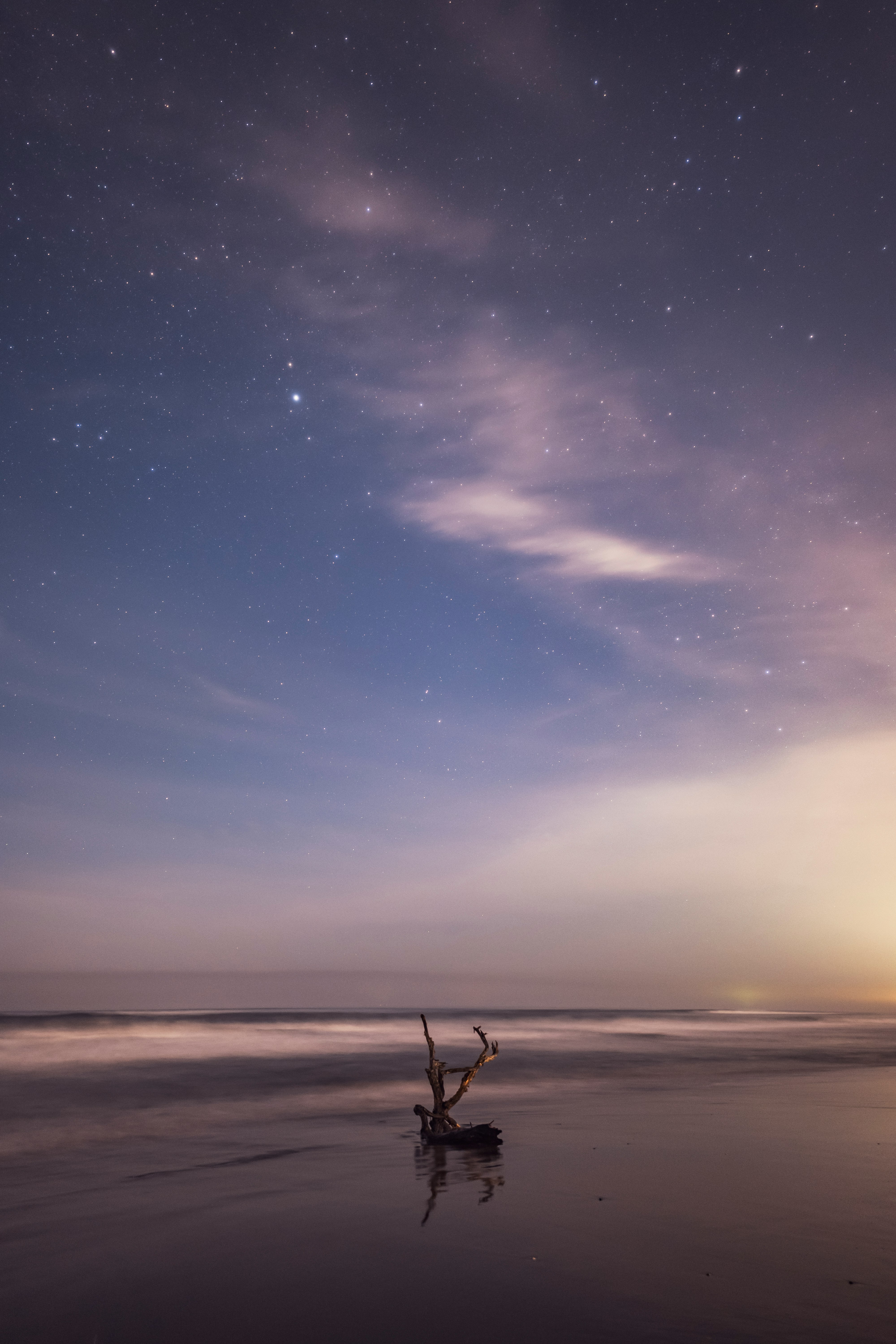 夕暮れの海辺に浮かぶ流木と星空の空