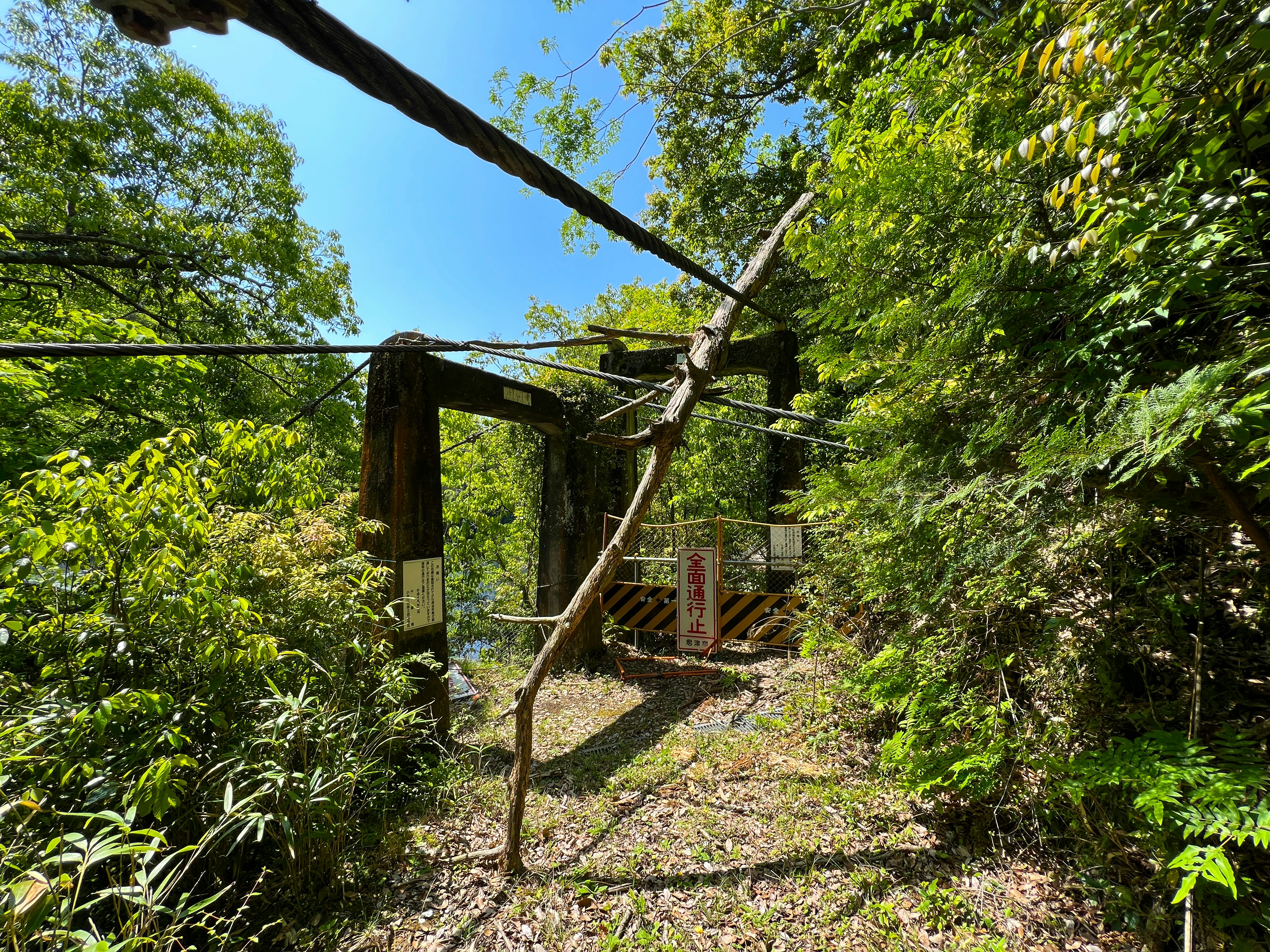 Ancien support de téléphérique et câbles entourés d'une forêt verdoyante