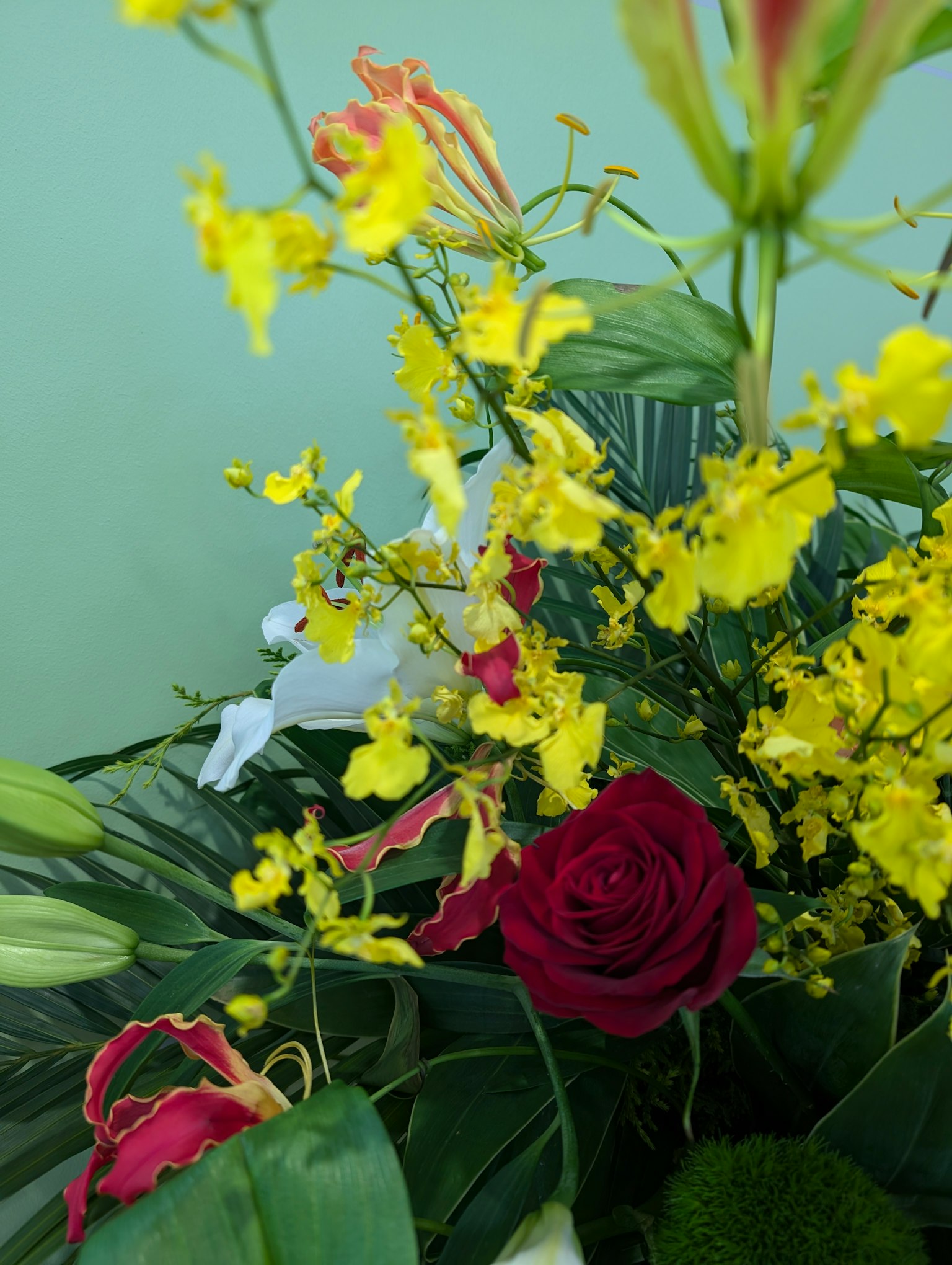 Un arrangement floral vibrant avec des orchidées jaunes des roses rouges et un feuillage vert luxuriant sur fond vert