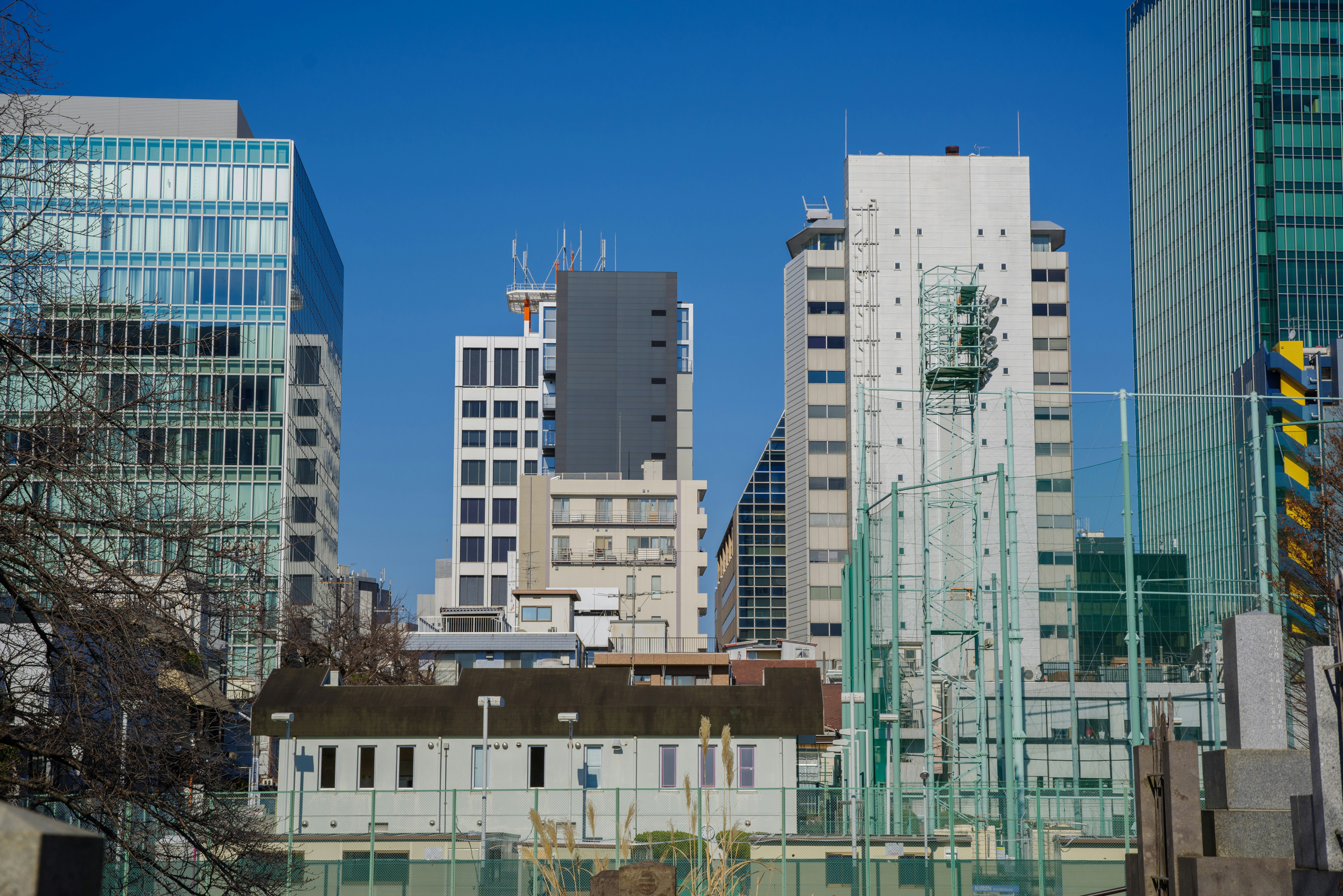 urban skyline with tall buildings